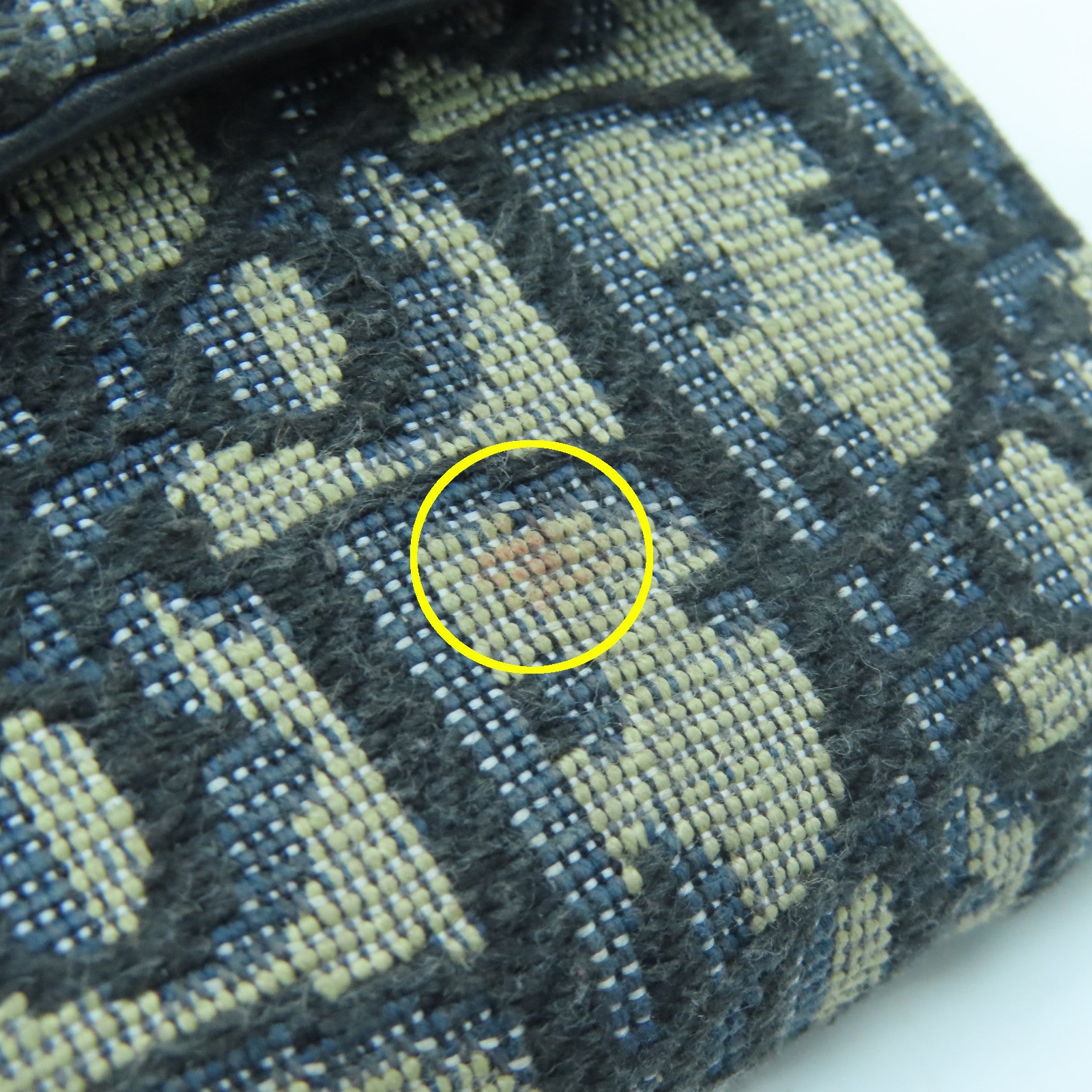 Dior Canvas Saddle Lotus Wallet Gold Buckle Wallet Blue