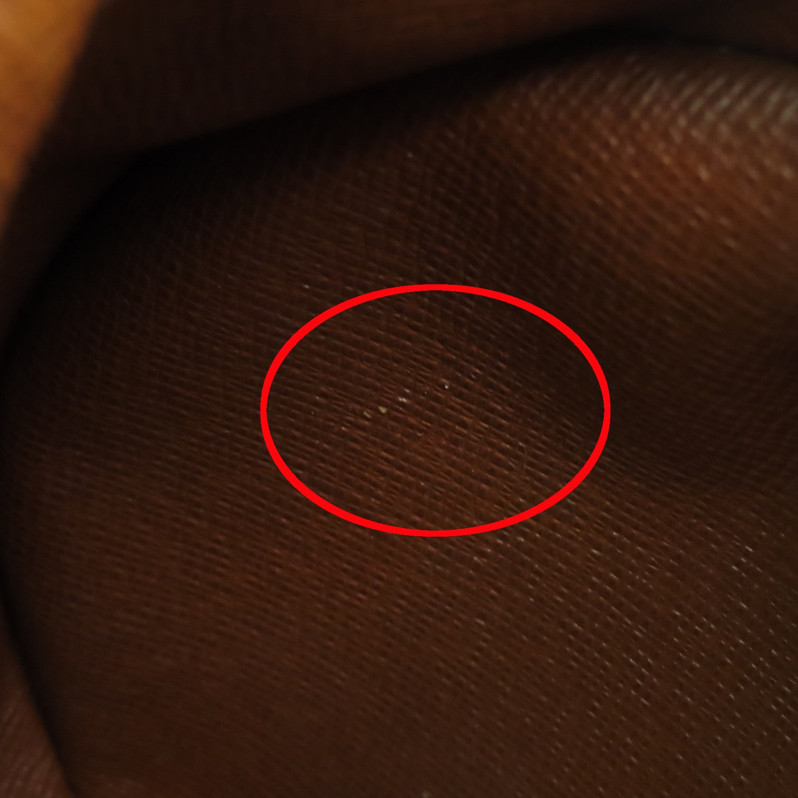 LOUIS VUITTON Monogram Papillon PM金扣肩背袋啡色