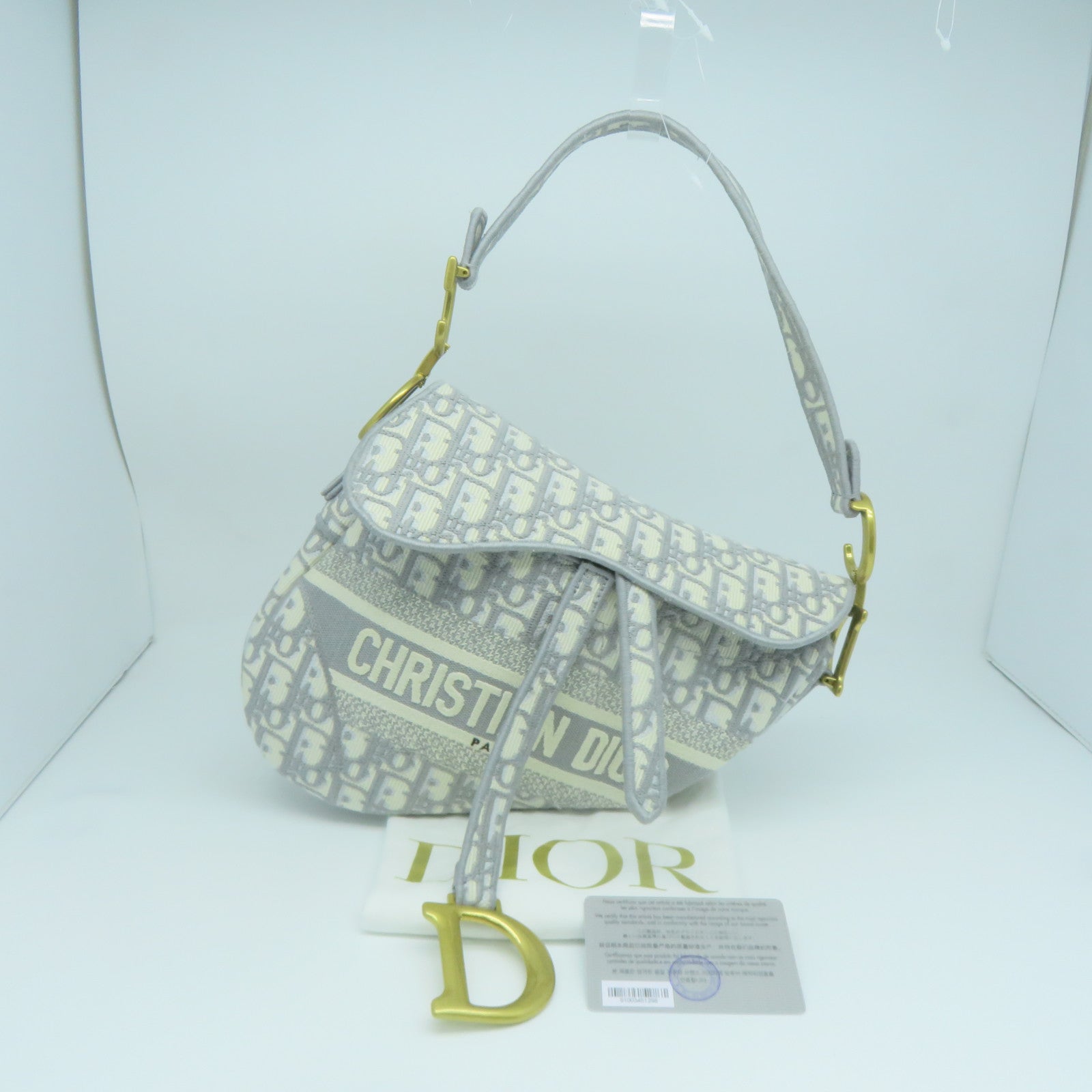 Dior 帆布Saddle M金扣肩背袋白色