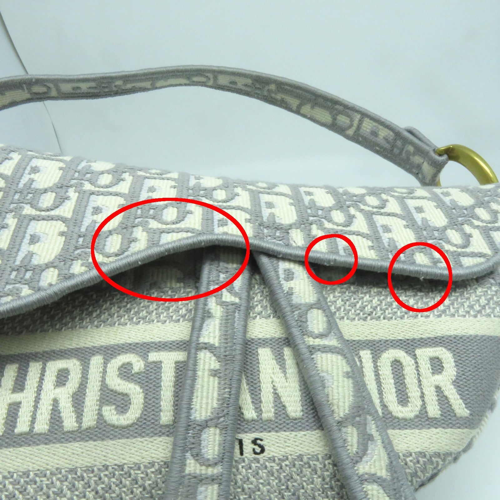 Dior 帆布Saddle M金扣肩背袋白色