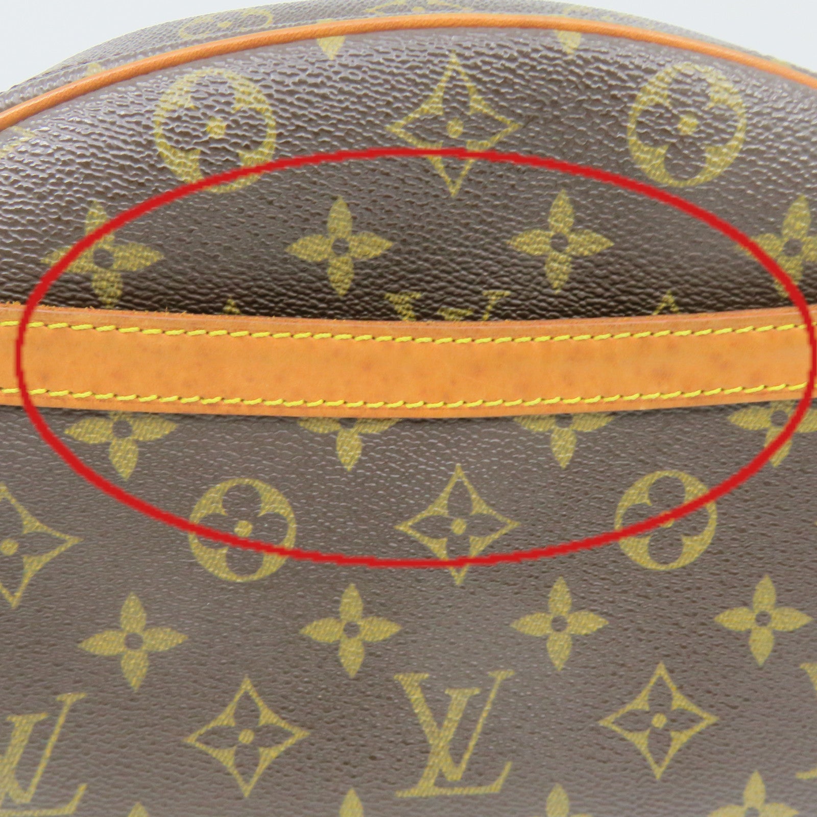 LOUIS VUITTON Monogram Blois Shoulder Bag brown
