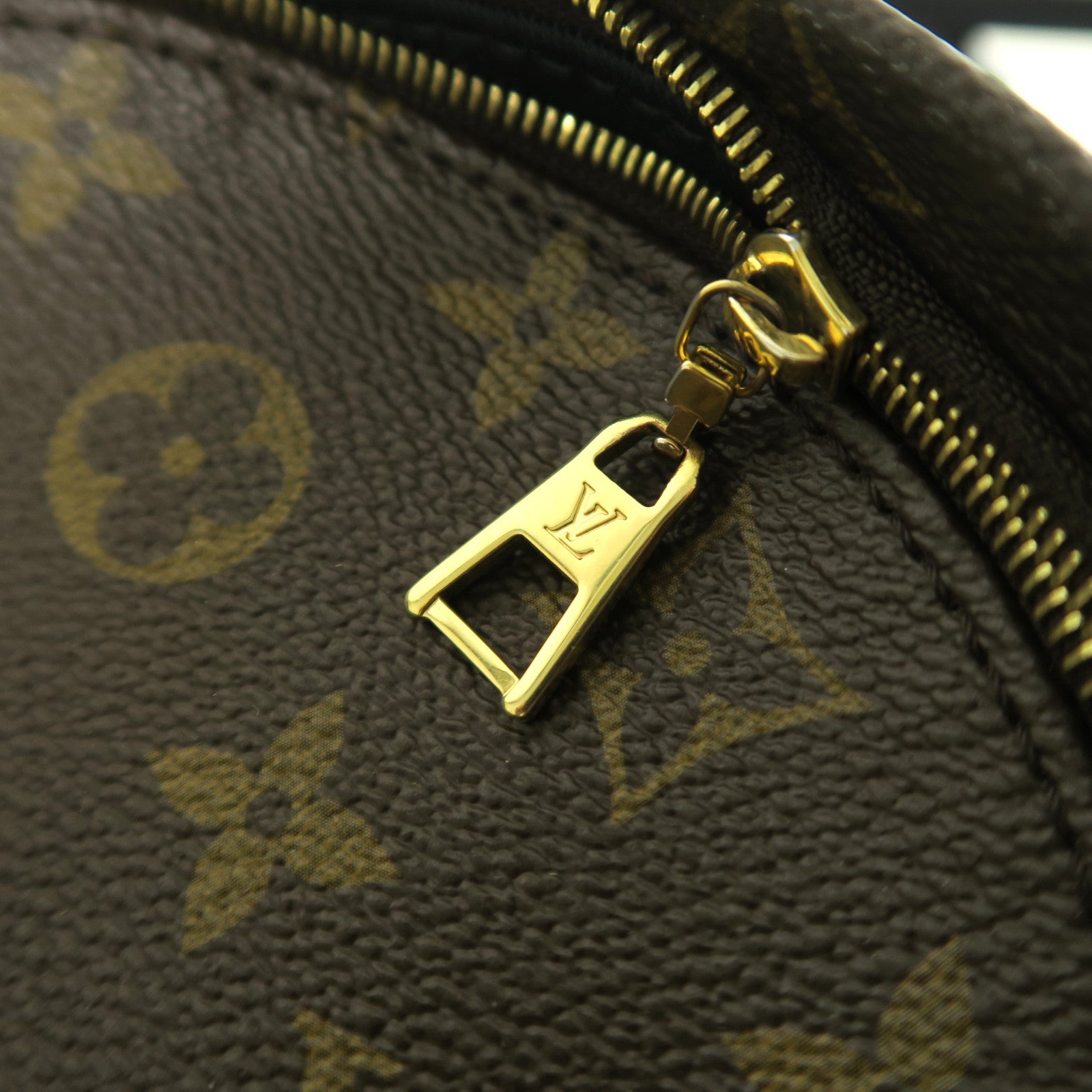 LOUIS VUITTON Monogram Macassar Palm Springs Mini金扣背包啡色