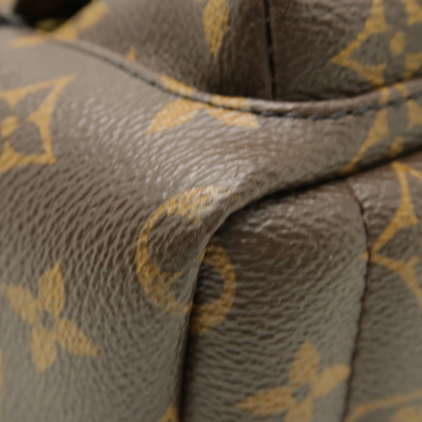 LOUIS VUITTON Monogram Macassar Palm Springs Backpack Mini金扣背包棕色黒色