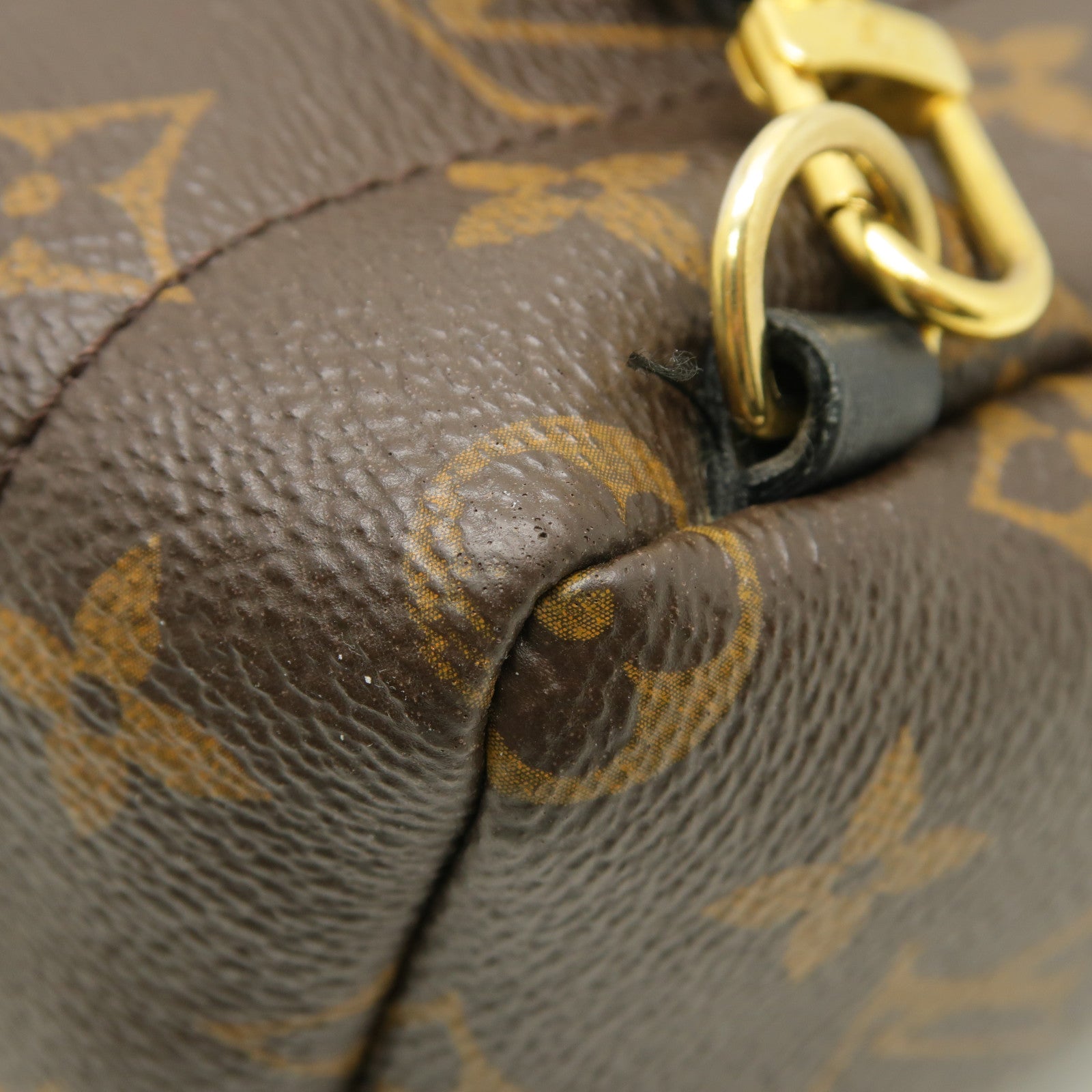 LOUIS VUITTON Monogram Macassar Palm Springs Backpack Mini金扣背包棕色黒色