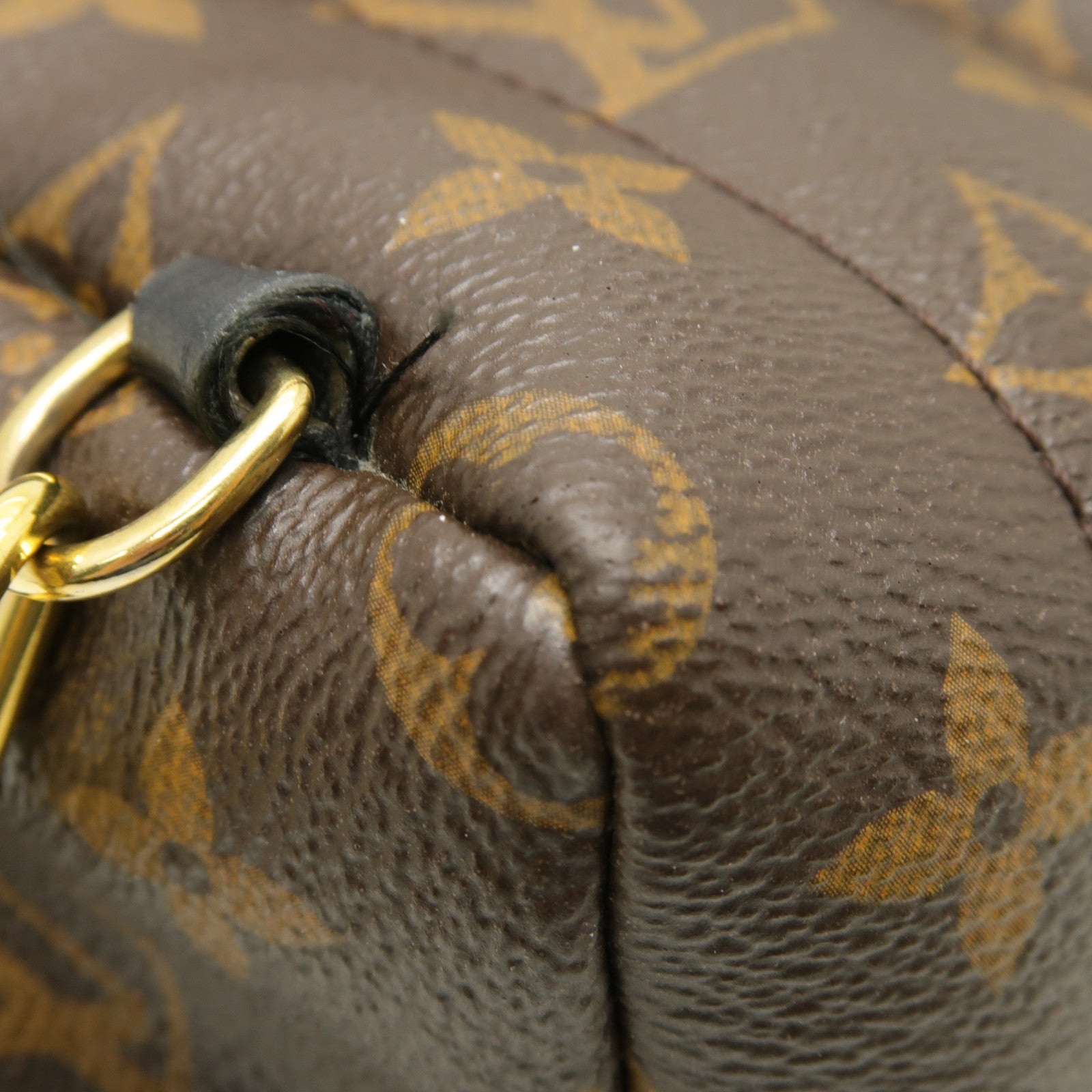 LOUIS VUITTON Monogram Macassar Palm Springs Backpack Mini金扣背包棕色黒色