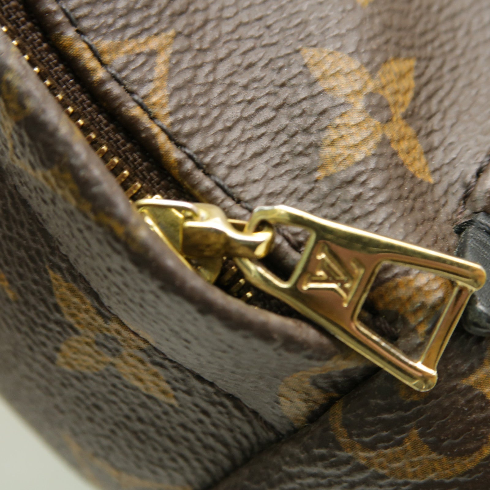 LOUIS VUITTON Monogram Macassar Palm Springs Backpack Mini金扣背包棕色黒色