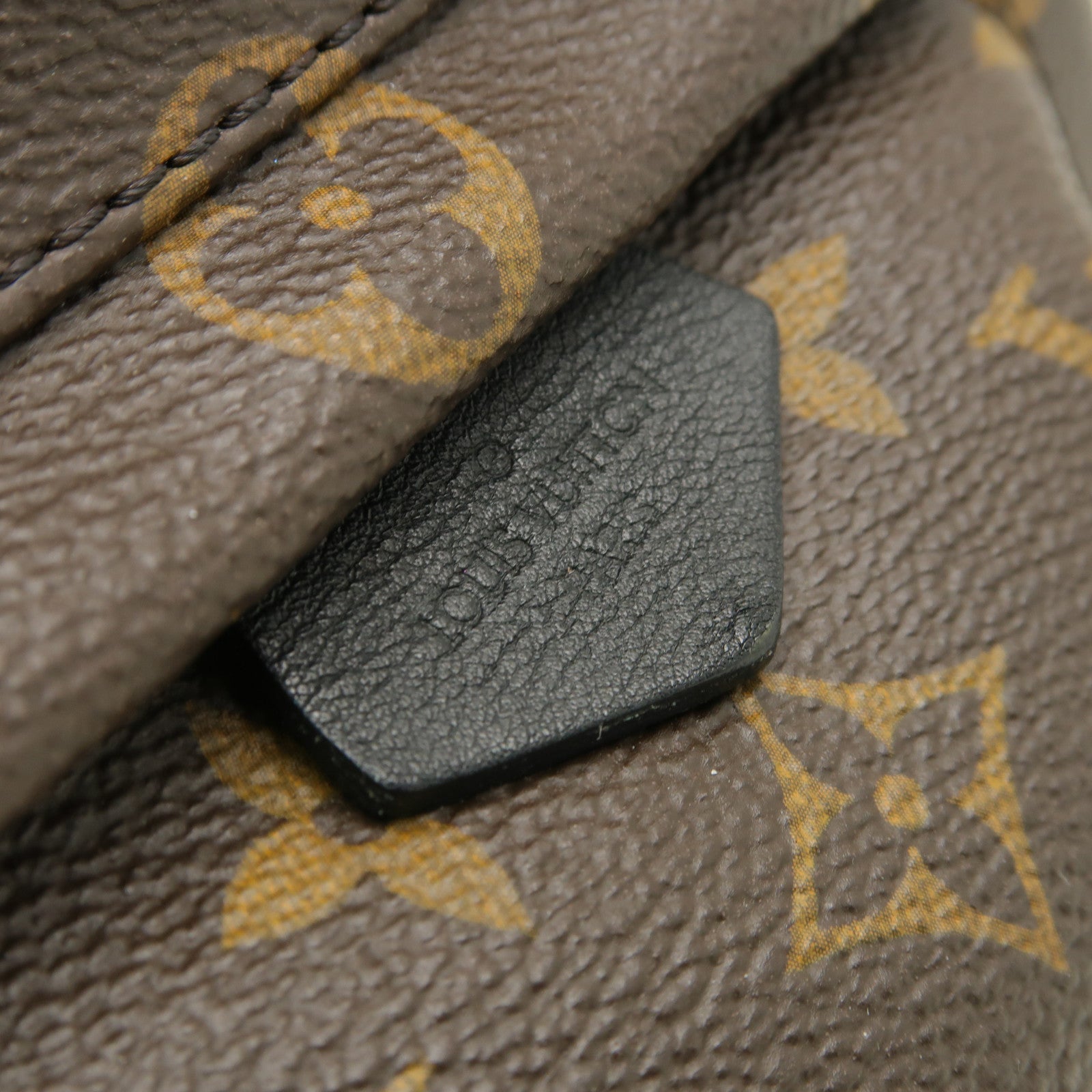 LOUIS VUITTON Monogram Macassar Palm Springs Backpack Mini金扣背包棕色黒色