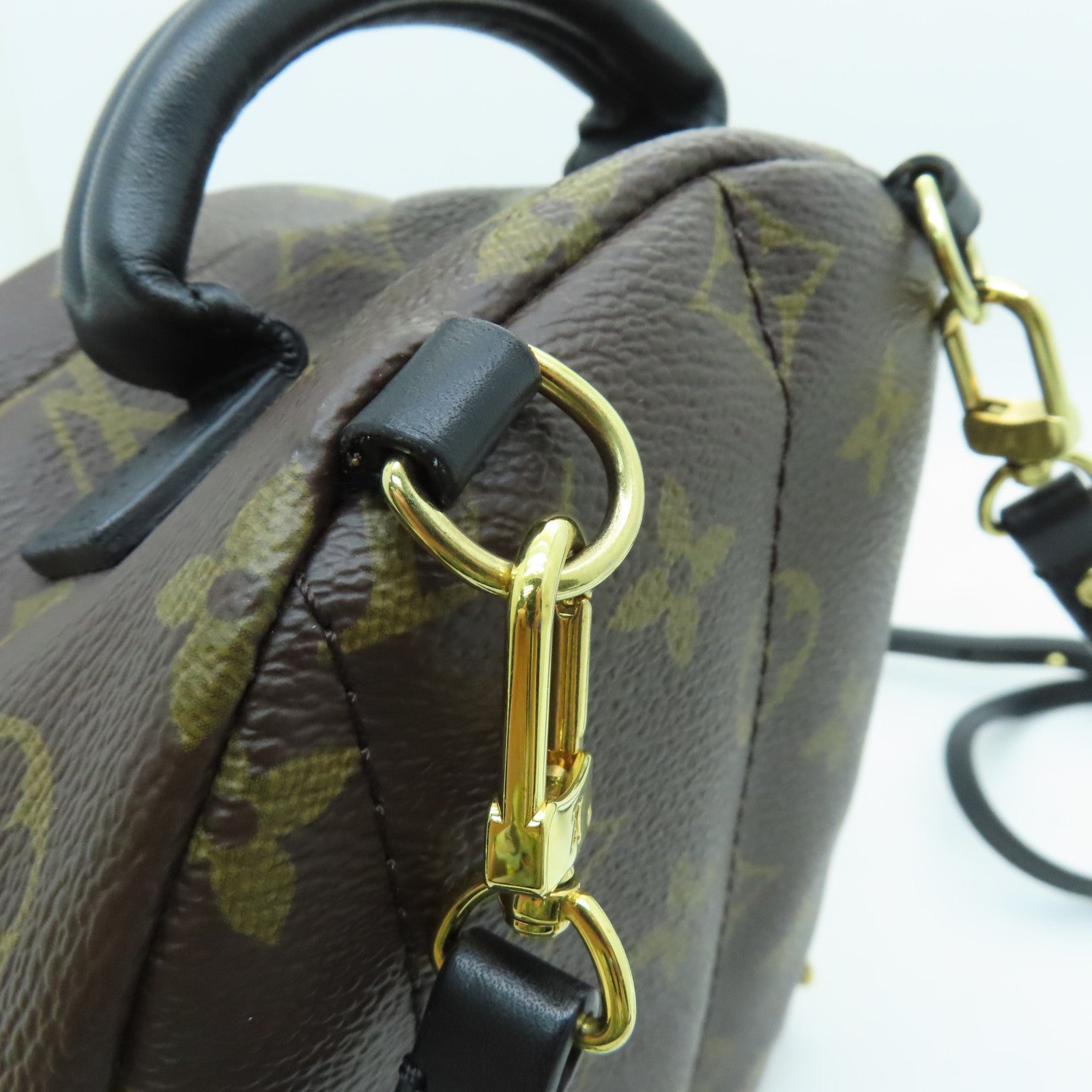 LOUIS VUITTON Monogram Palm Springs Mini Gold Buckle Backpack Brown