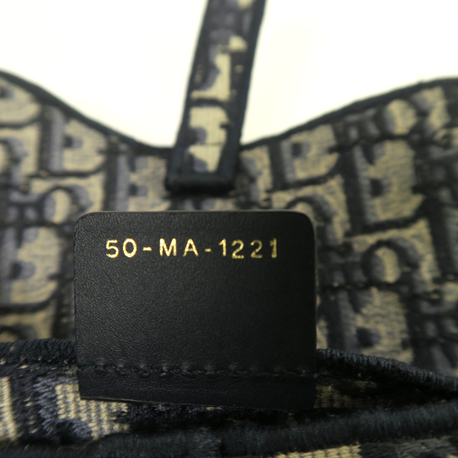 Dior 帆布Belt Bag金扣腰包藍色