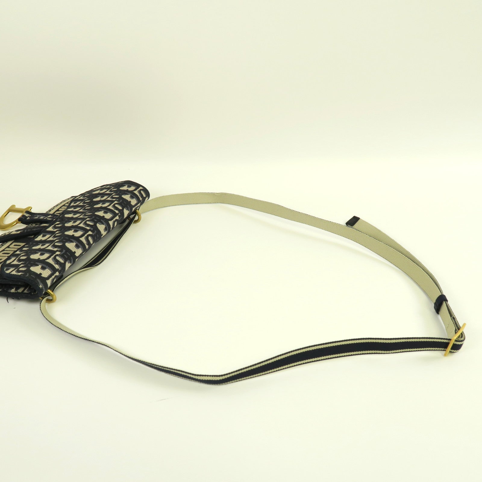 Dior 帆布Belt Bag金扣腰包藍色