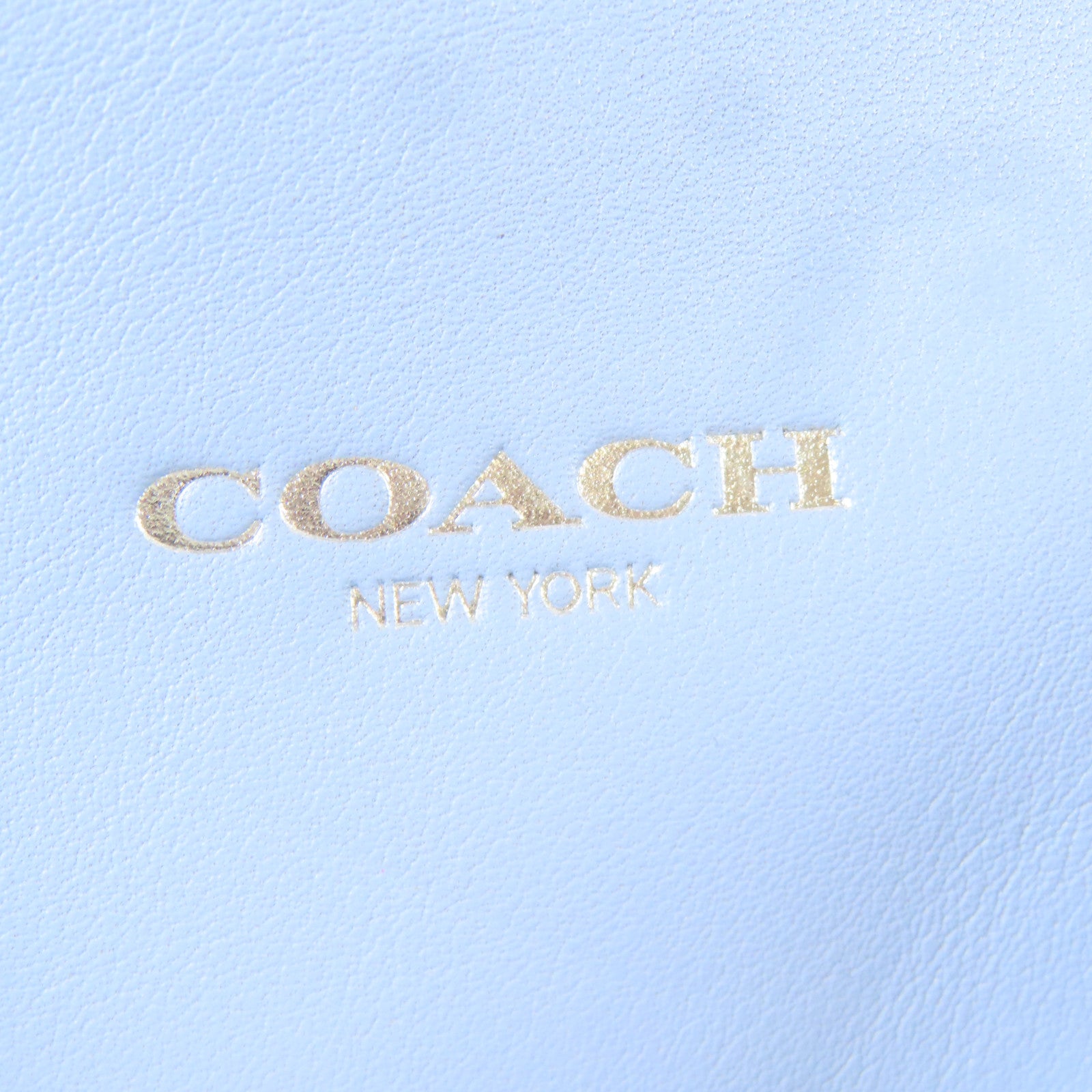 COACH 牛皮皮革Hand Bag銀扣手挽袋淺藍色
