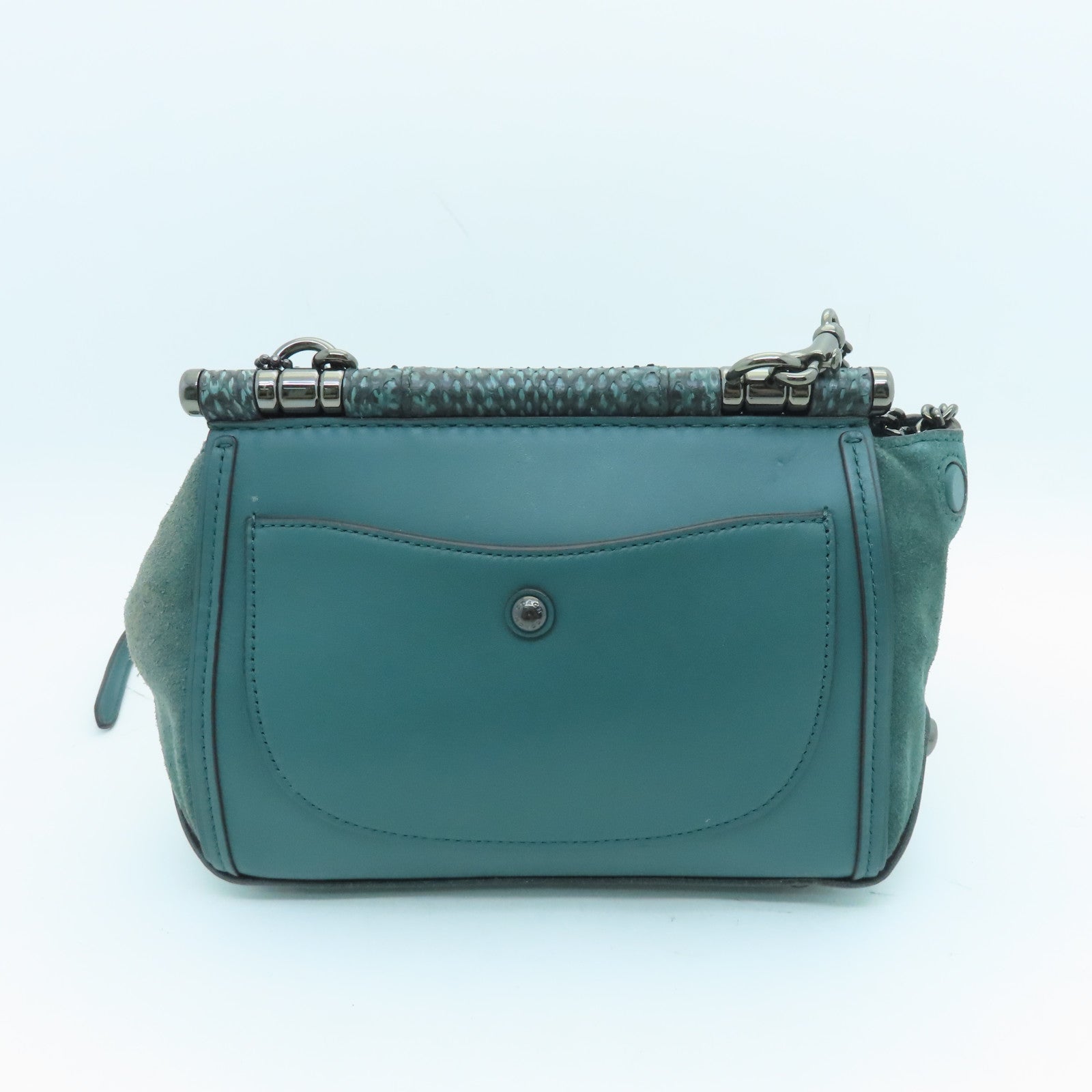 COACH Snakeskin/Cowhide Leather Shoulder Bag Green