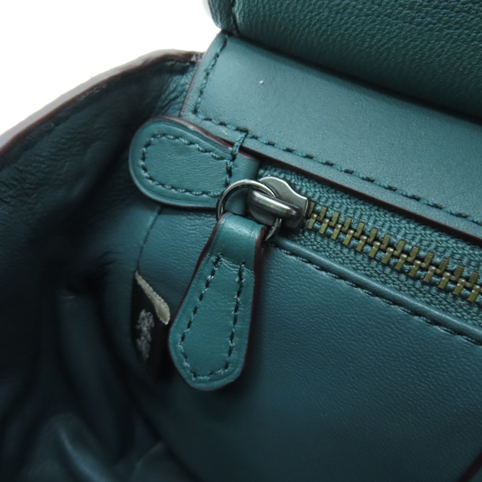 COACH Snakeskin/Cowhide Leather Shoulder Bag Green