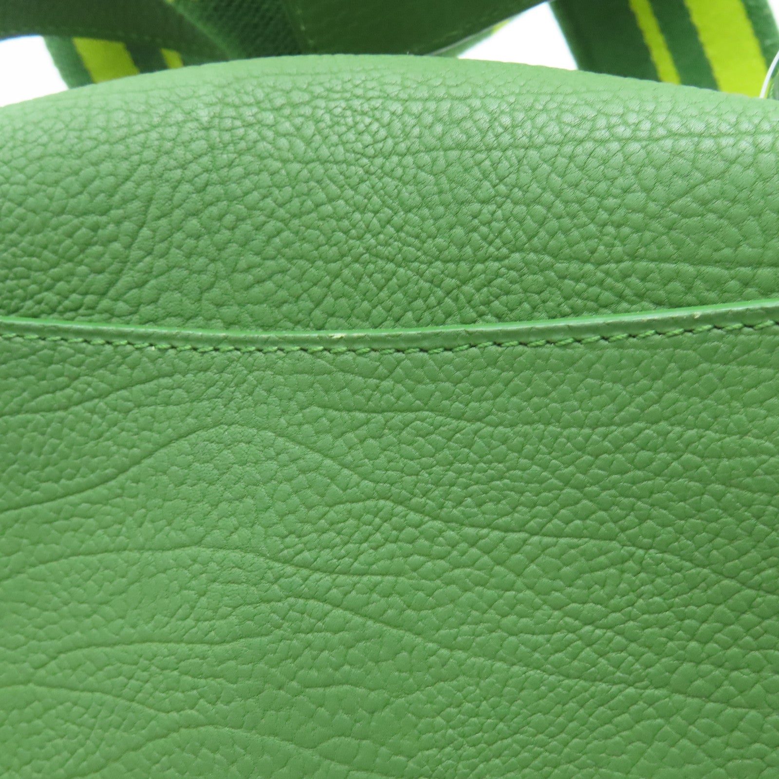 Delvaux 牛皮皮革Le Mutin Mini Shoulder Bag金扣肩背袋绿色