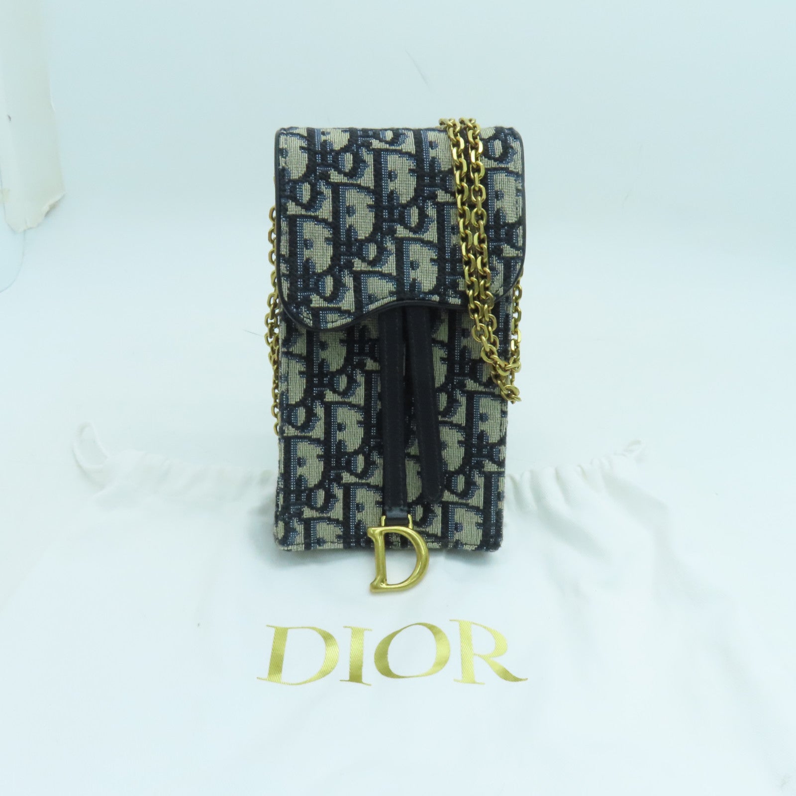 Dior 帆布Saddle Pouch金扣链带肩背袋蓝色
