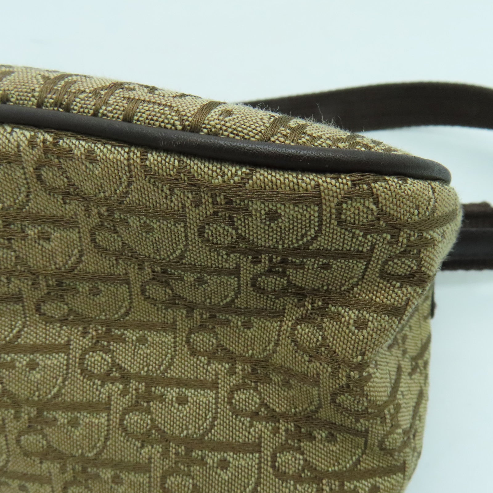 Dior canvas Handbag silver buckle handle bag brown