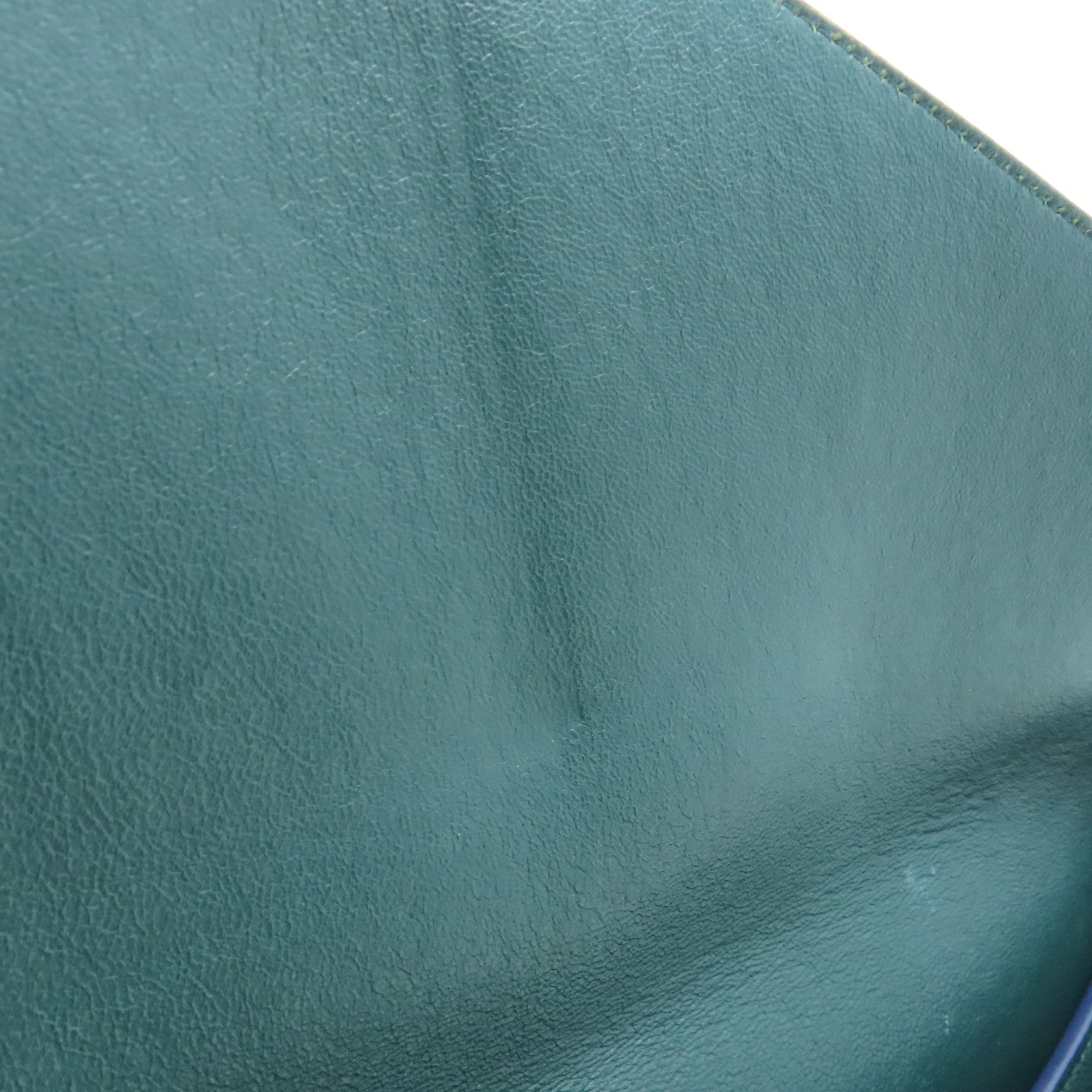 CELINE 牛皮皮革/馬毛Shoulder Bag銀扣肩背袋綠色/黑色/橙色