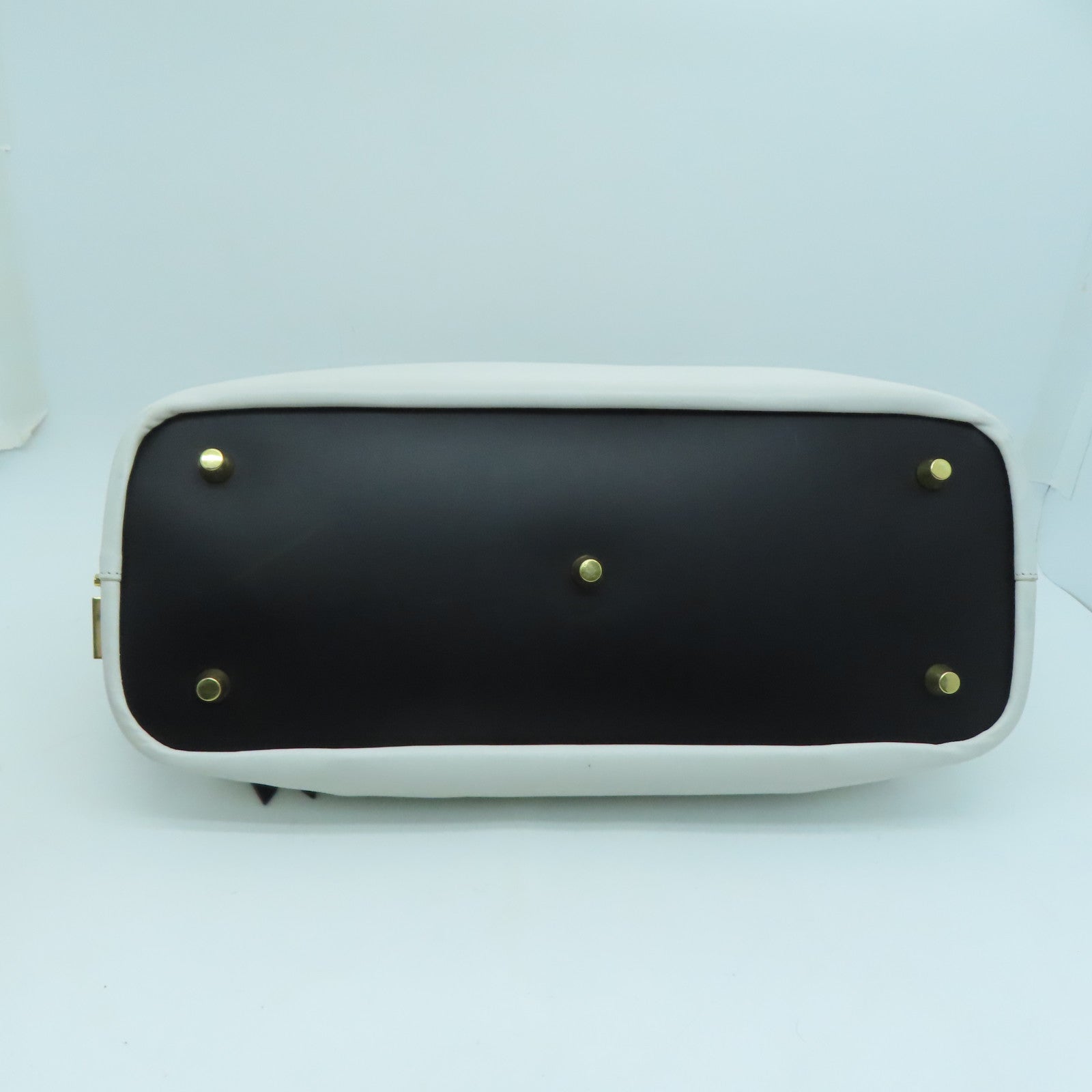 CELINE 牛皮皮革Long Frame Bag金扣手挽袋白色/黑色