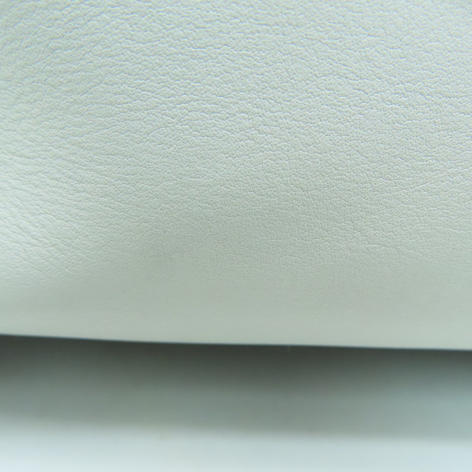 CELINE 牛皮皮革Long Frame Bag金扣手挽袋白色/黑色