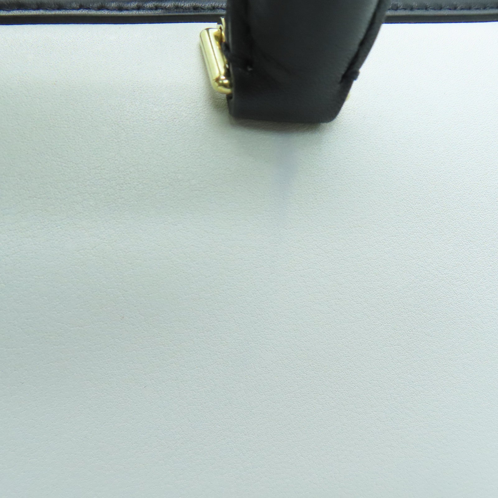 CELINE 牛皮皮革Long Frame Bag金扣手挽袋白色/黑色