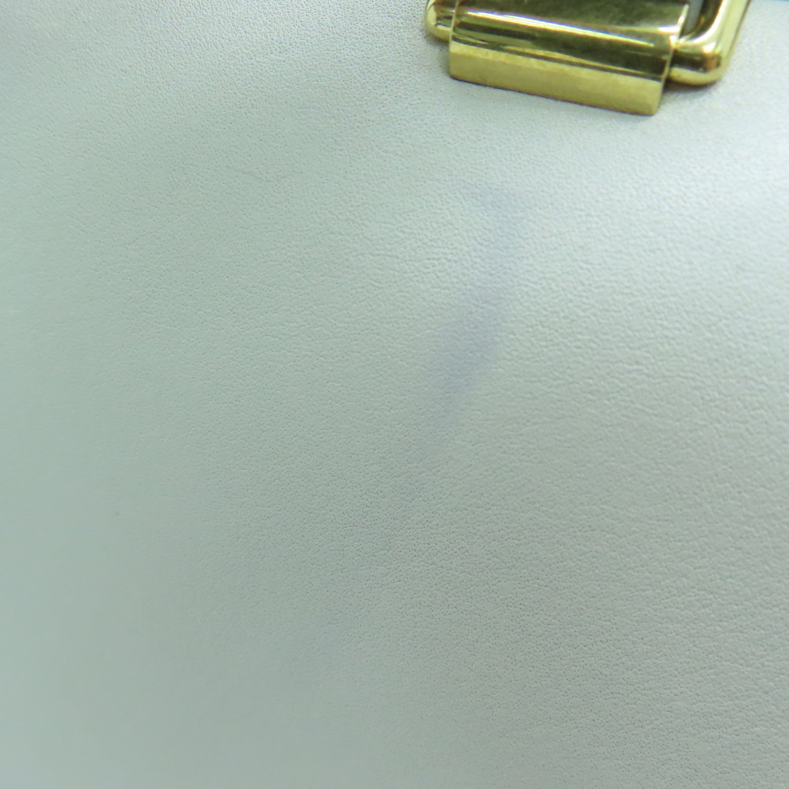 CELINE 牛皮皮革Long Frame Bag金扣手挽袋白色/黑色