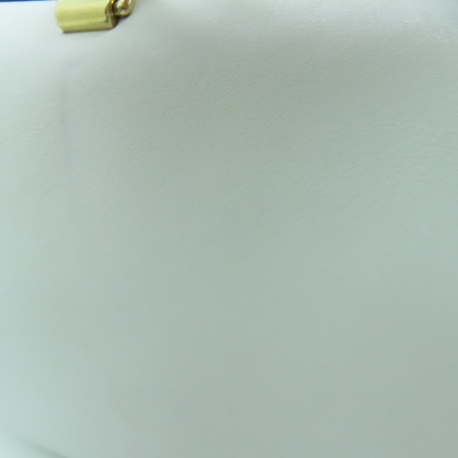 CELINE 牛皮皮革Long Frame Bag金扣手挽袋白色/黑色