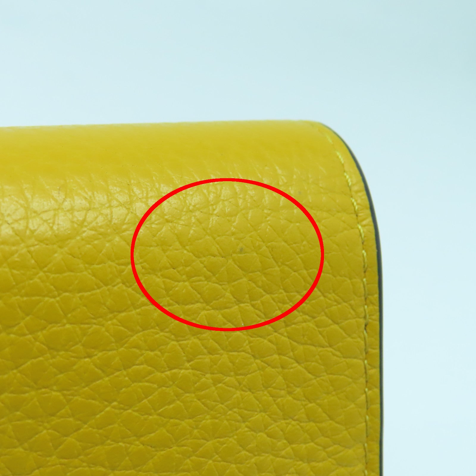 MULBERRY Leather Long Wallet Gold Buckle Yellow/Brown