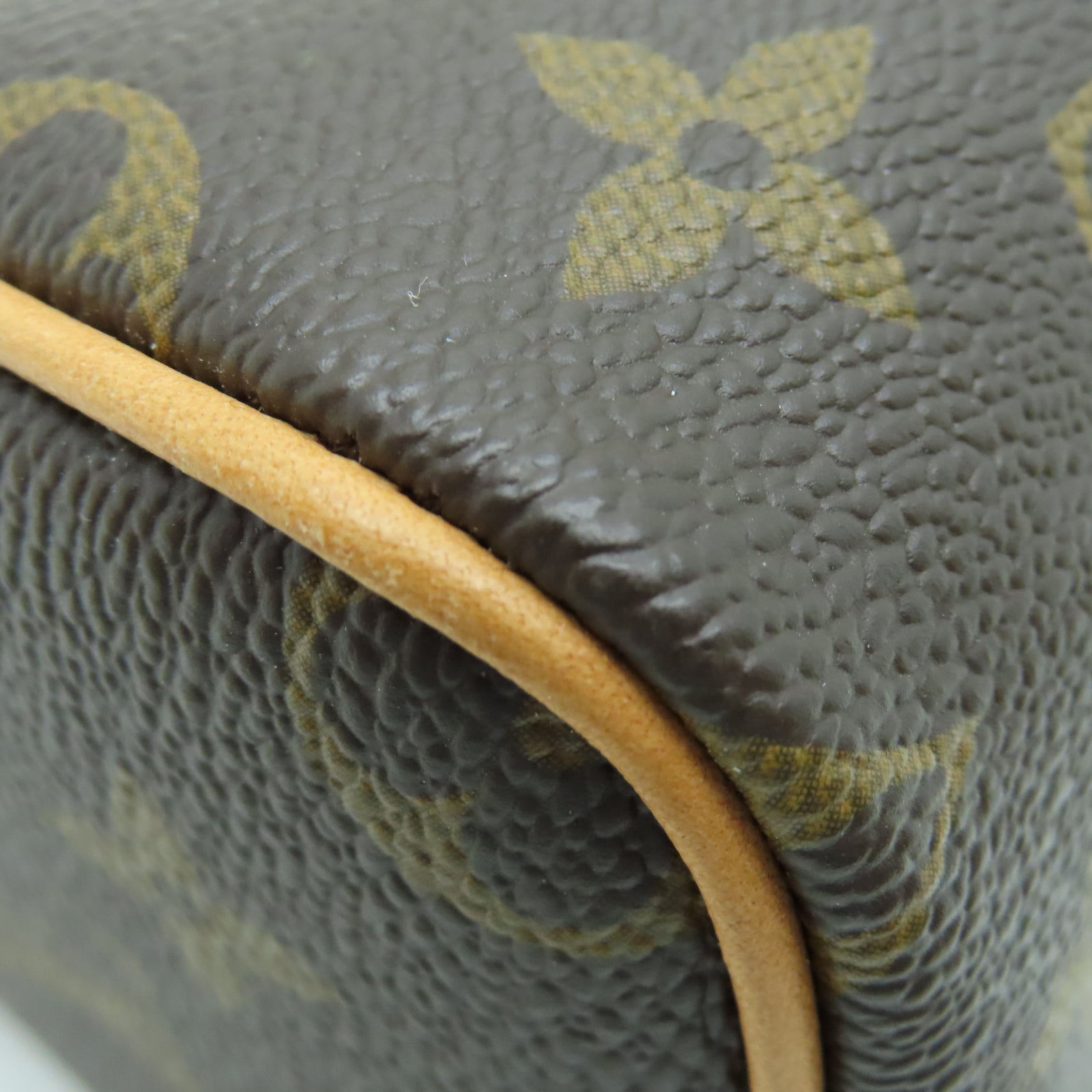 LOUIS VUITTON Monogram Nano Speedy金扣手挽肩背两用袋棕色