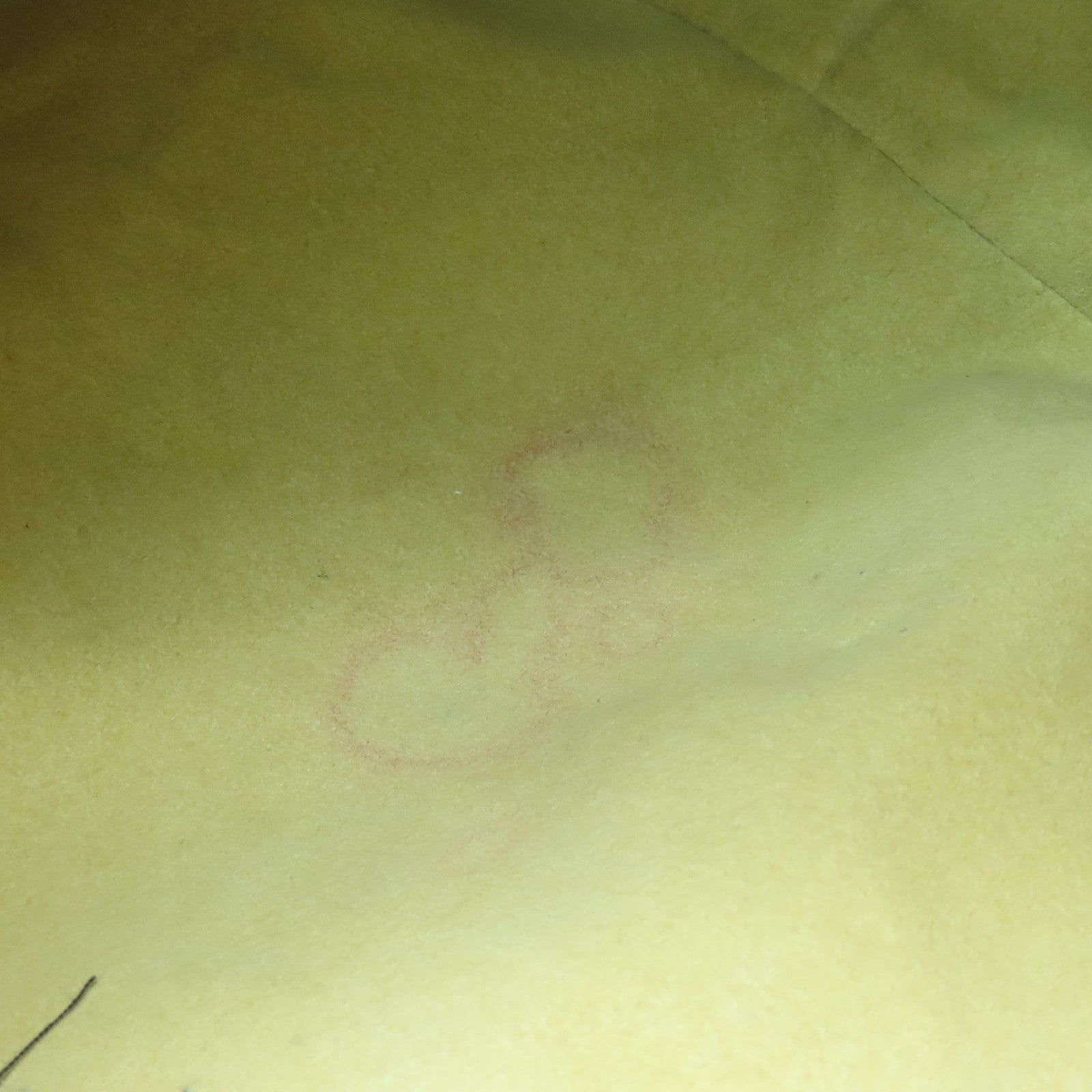LOUIS VUITTON Monogram Galliera PM金扣肩背袋棕色
