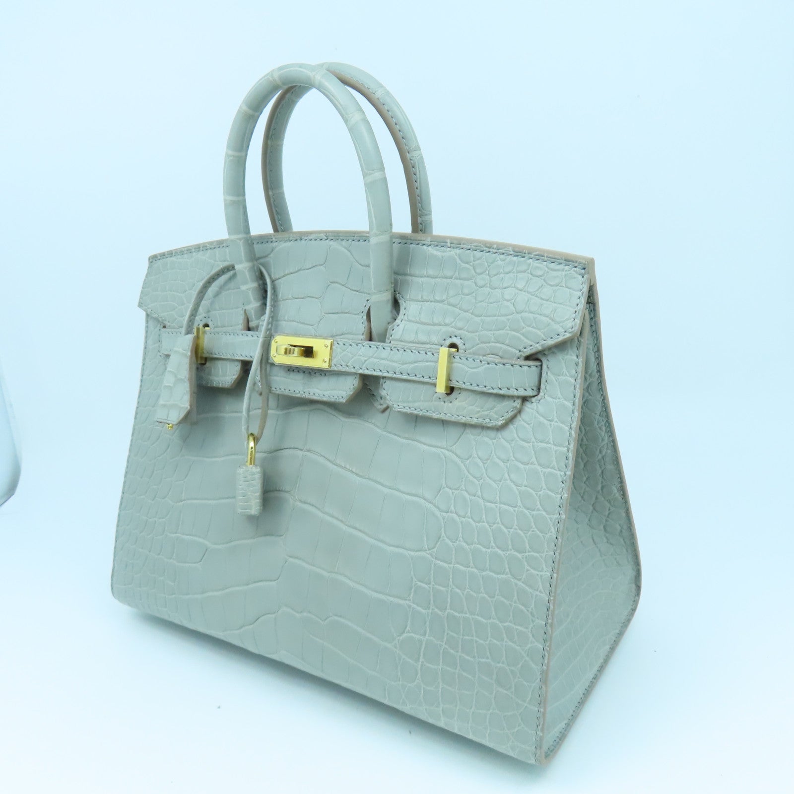 HERMES Alligator Mat皮革Birkin 25 Hand Bag金扣手提袋灰色