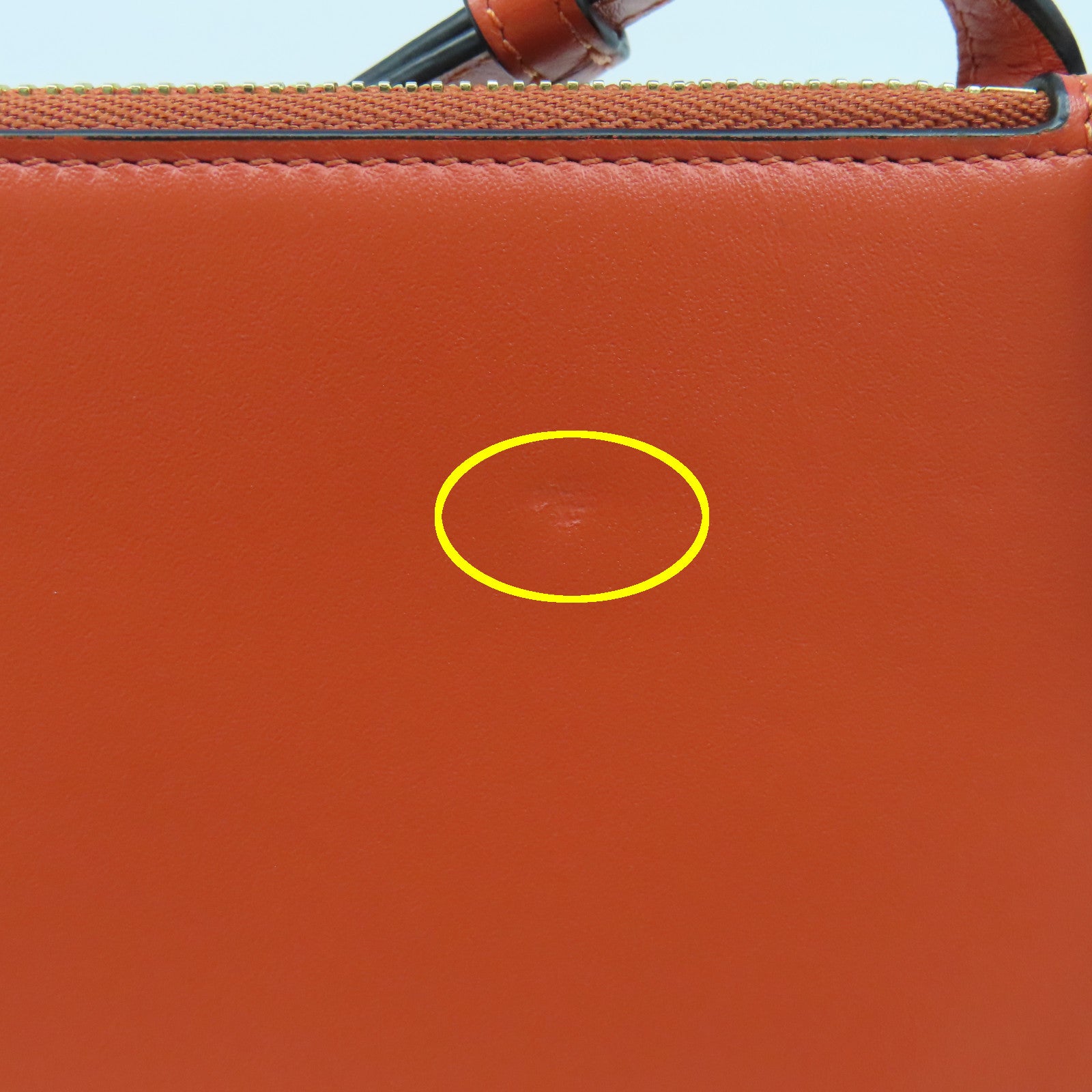 LOEWE Leather Gate Double Gold Buckle Shoulder Bag Orange Black