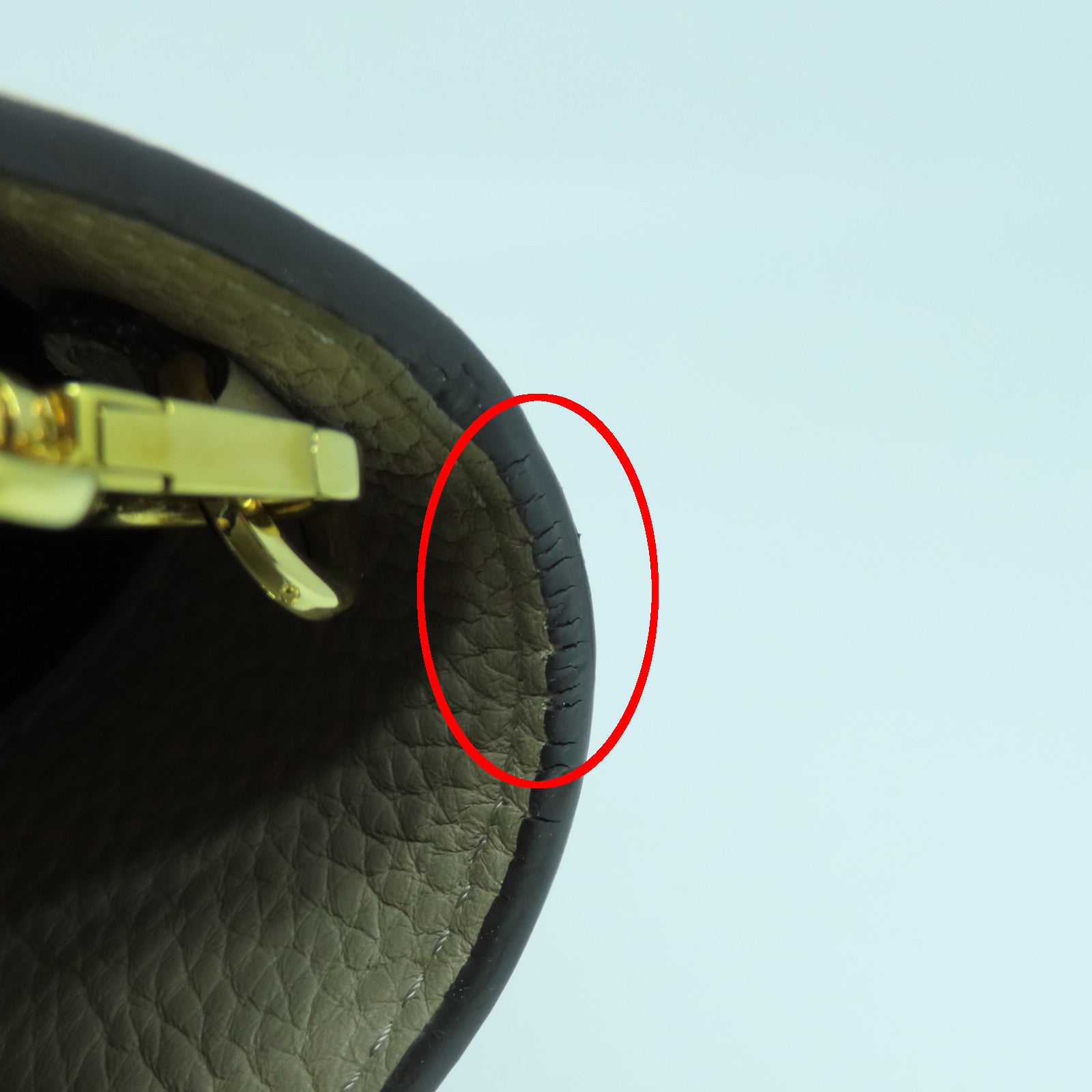 LOUIS VUITTON 牛皮皮革/蛇皮皮革Capucines MM金扣手挽肩背两用袋灰褐色