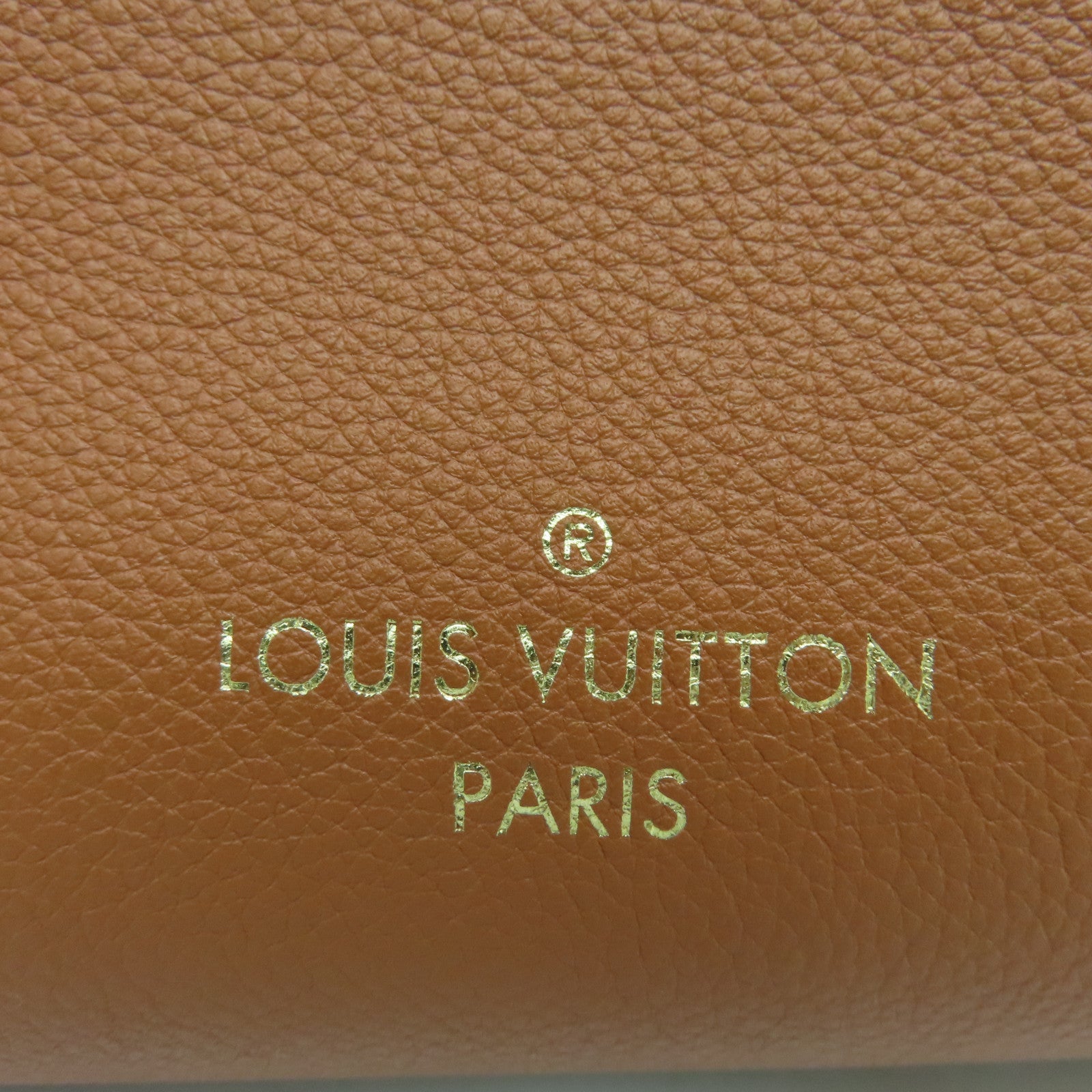 LOUIS VUITTON 牛皮皮革On My Side MM金扣肩背袋啡色