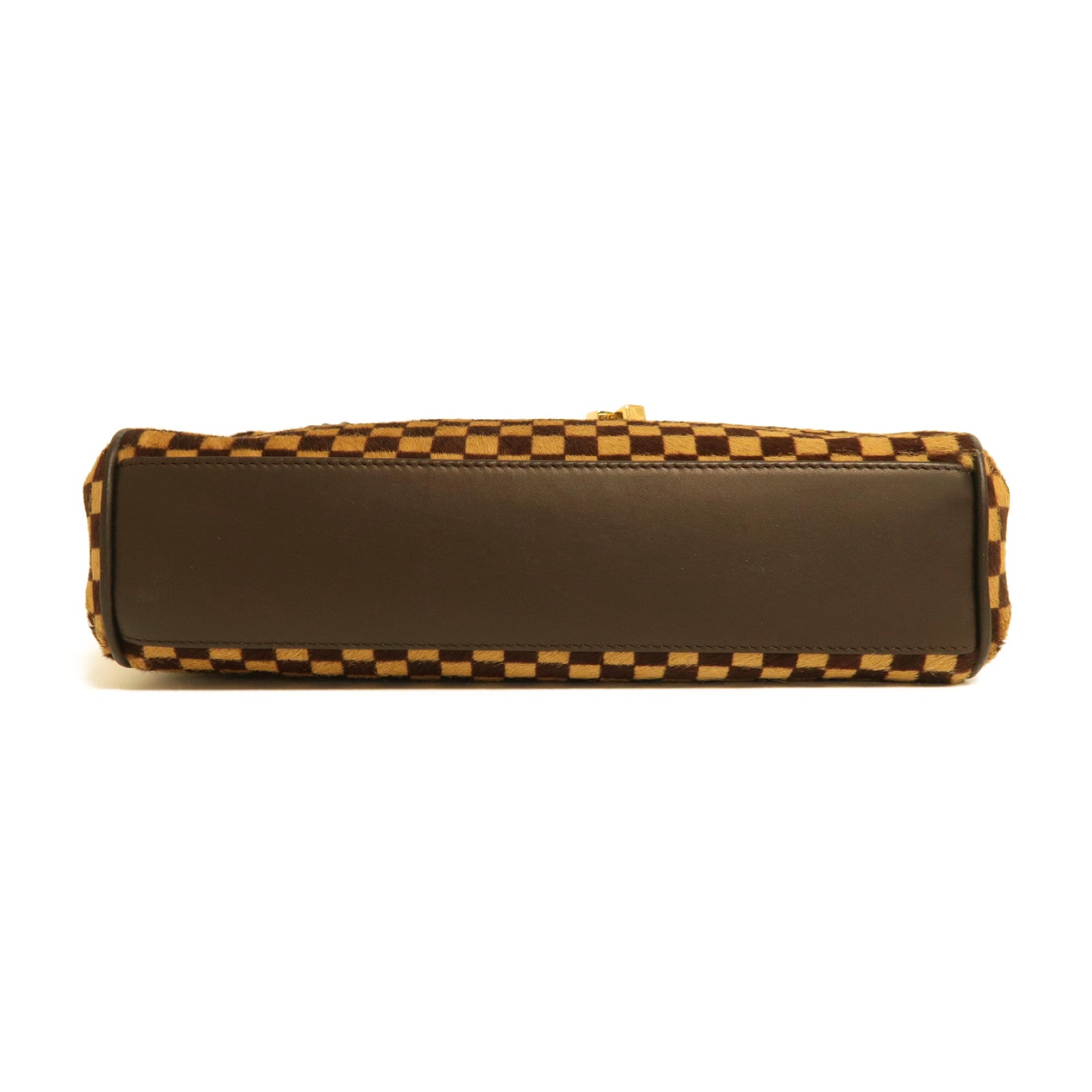 LOUIS VUITTON 馬毛Damier Sauvage Lionne金扣手挽袋啡色