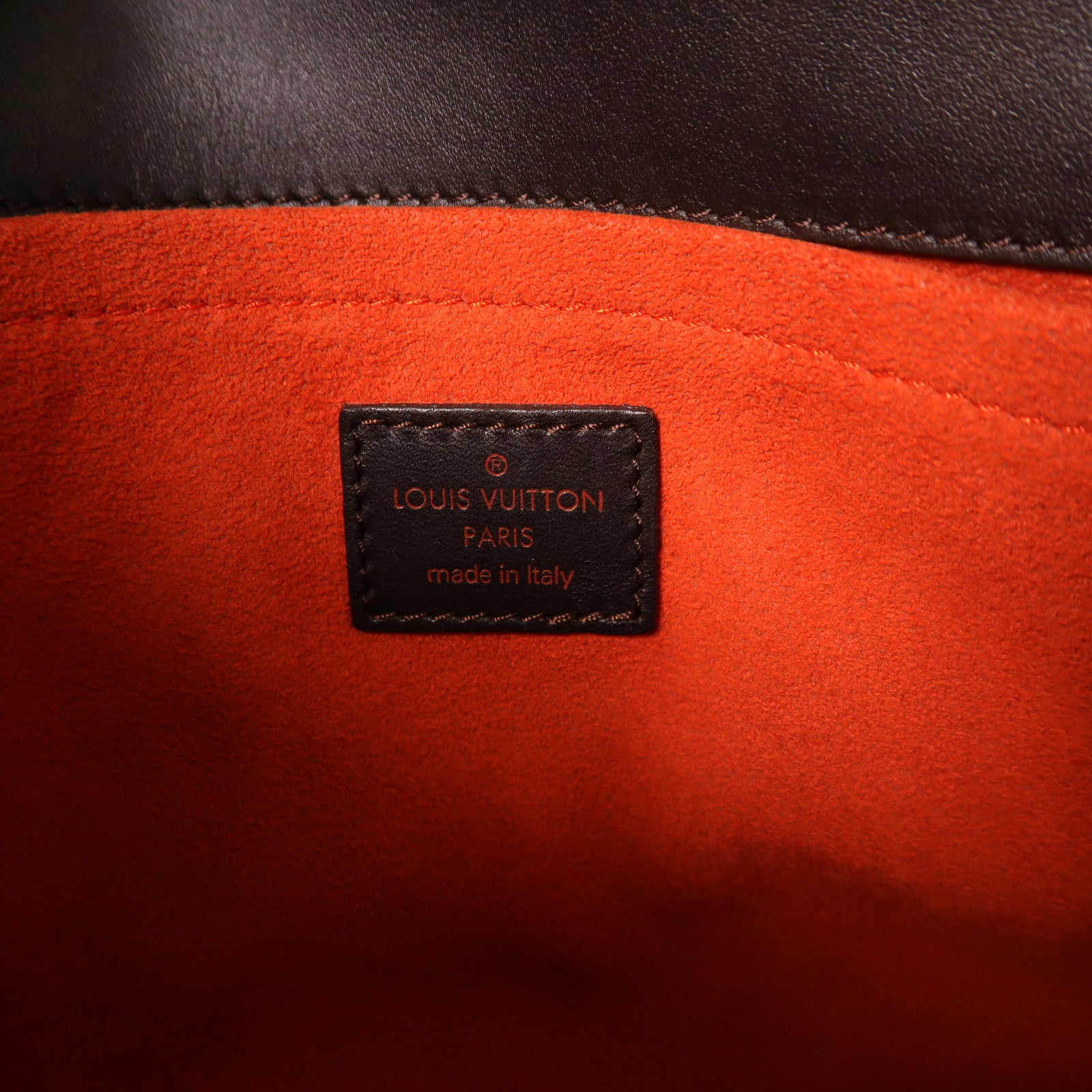LOUIS VUITTON 馬毛Damier Sauvage Lionne金扣手挽袋啡色