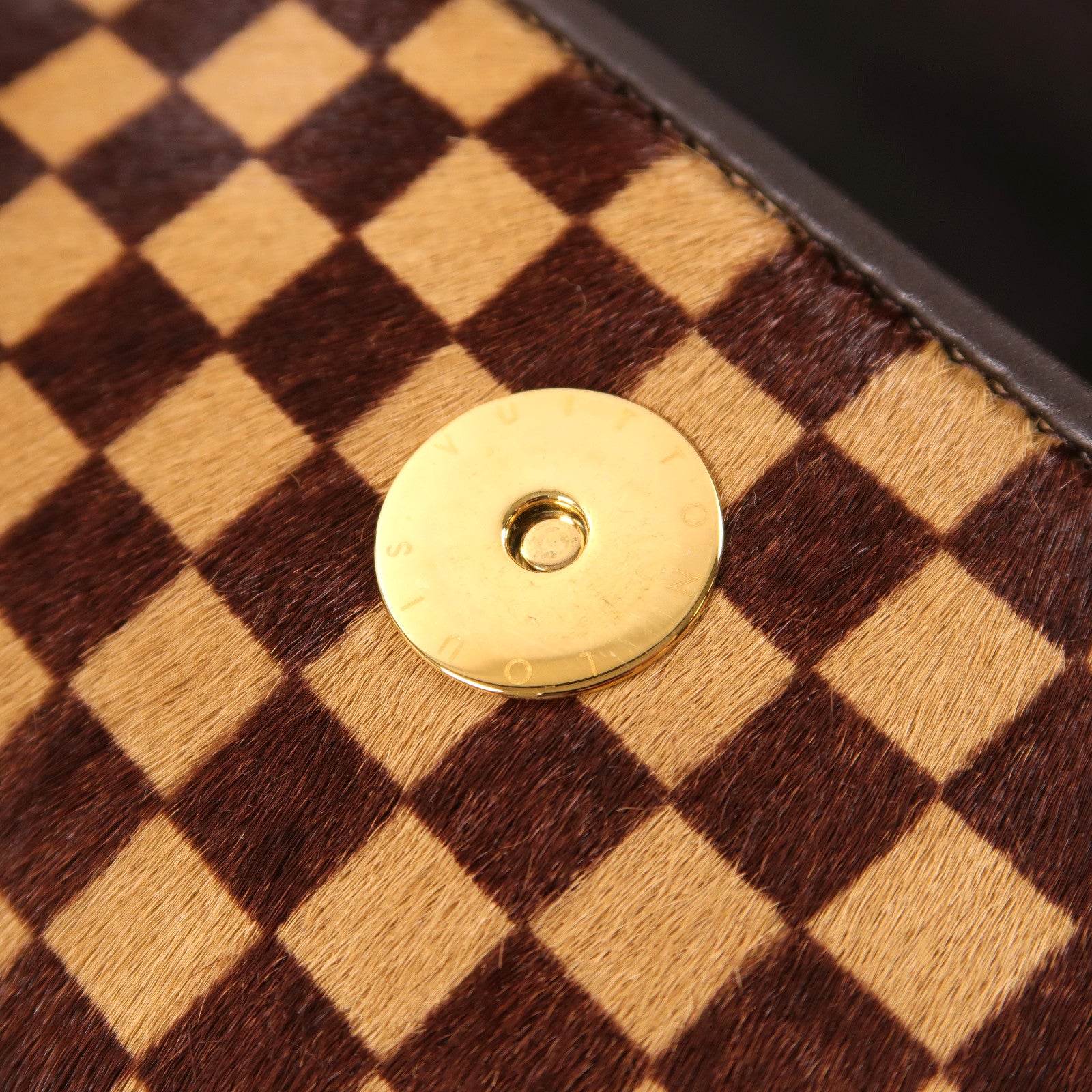 LOUIS VUITTON 馬毛Damier Sauvage Lionne金扣手挽袋啡色