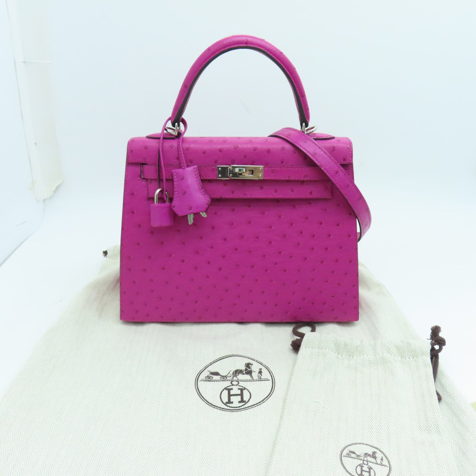 HERMES 鸵鸟皮 Birkin 25 手提包