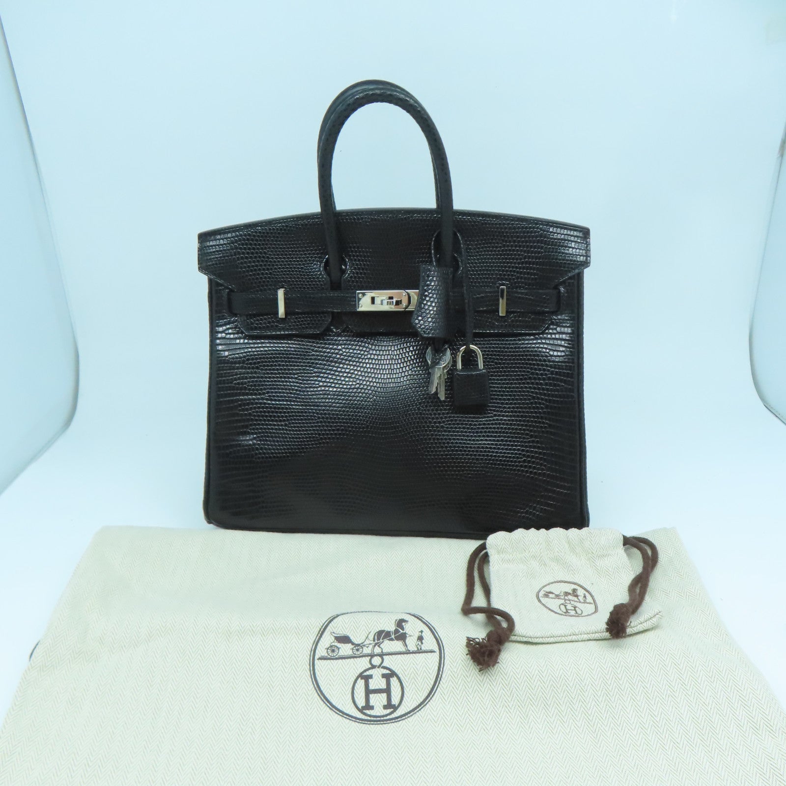 HERMES 蜥蜴皮革Birkin 25銀扣手挽袋黑色