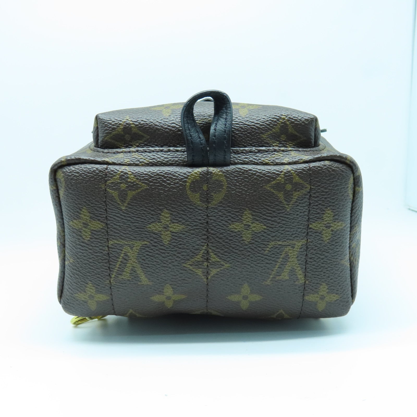 LOUIS VUITTON Monogram Palm Springs Mini金扣背包棕色