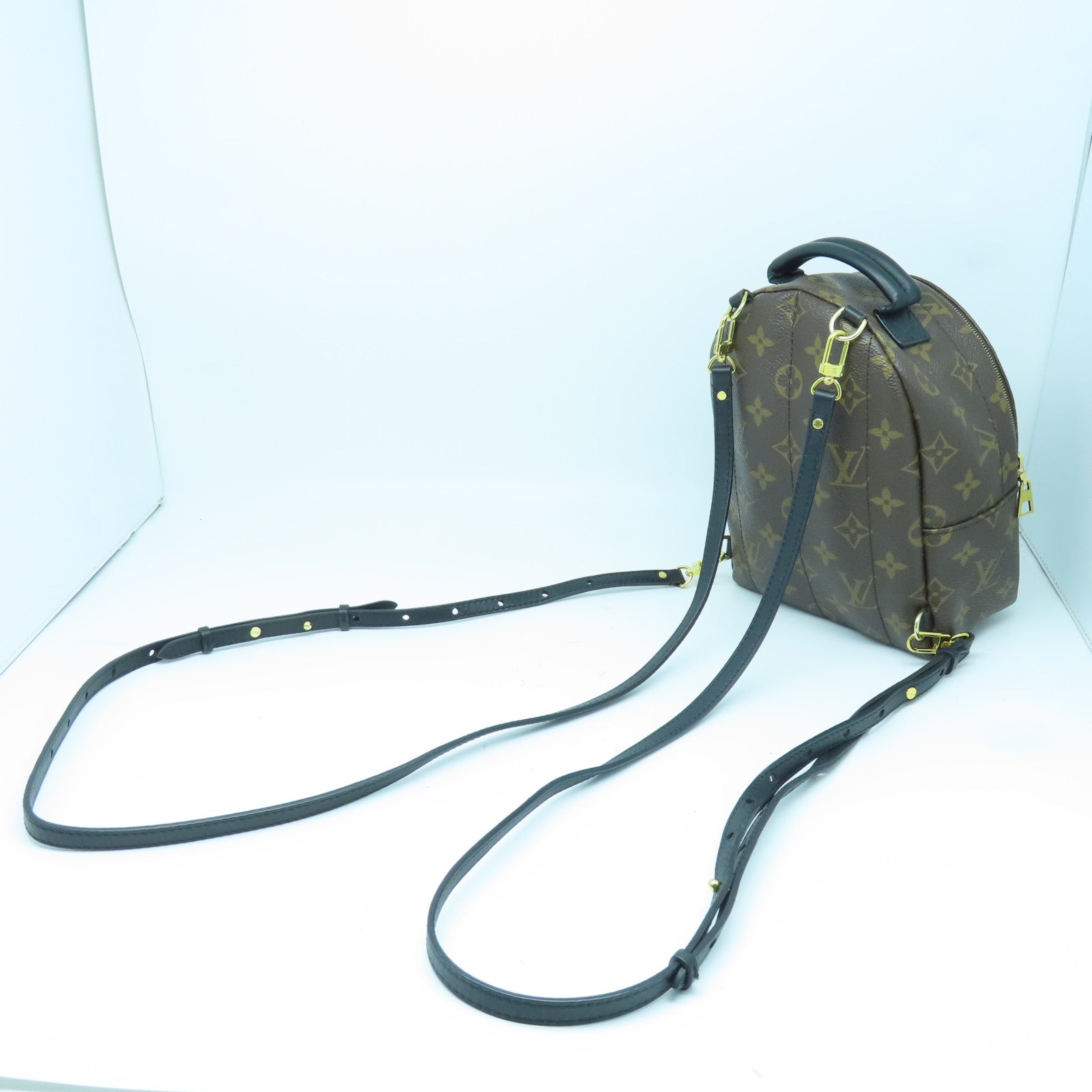 LOUIS VUITTON Monogram Palm Springs Mini金扣背包棕色