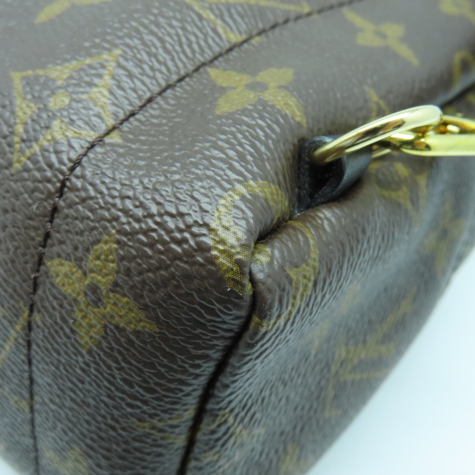 LOUIS VUITTON Monogram Palm Springs Mini金扣背包棕色