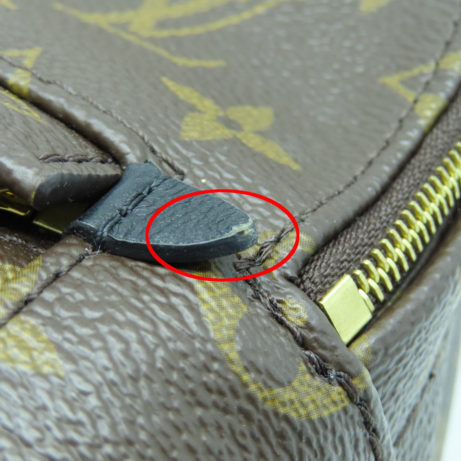 LOUIS VUITTON Monogram Palm Springs Mini金扣背包棕色