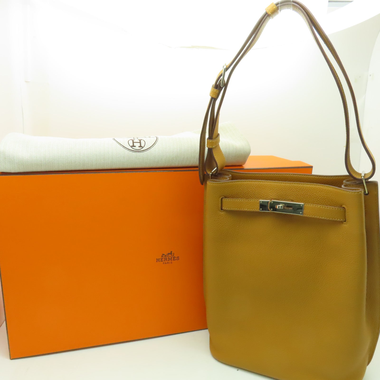 HERMES Clemence皮革So Kelly 22銀扣肩背袋啡色
