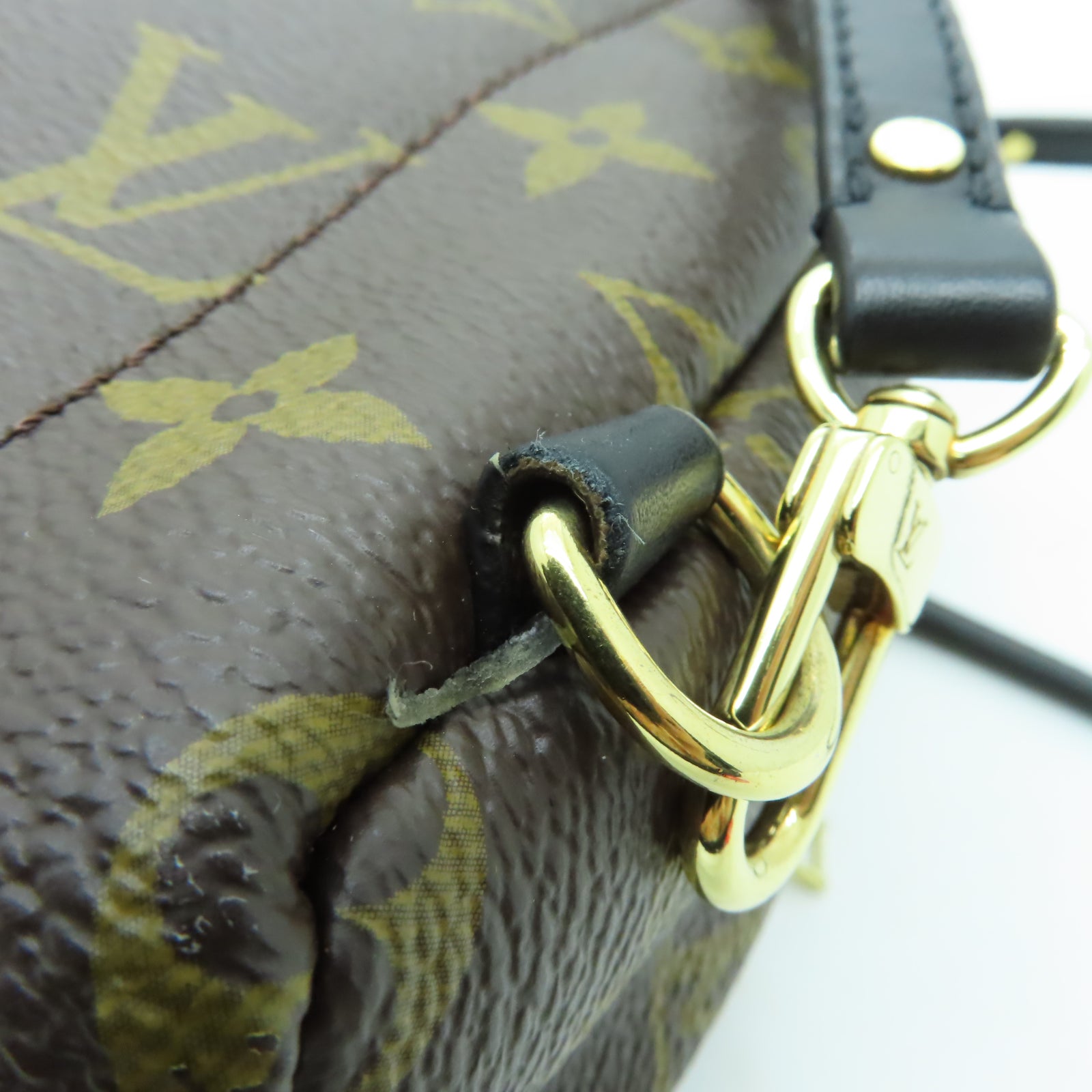 LOUIS VUITTON Monogram Palm Springs Mini金扣背包啡色
