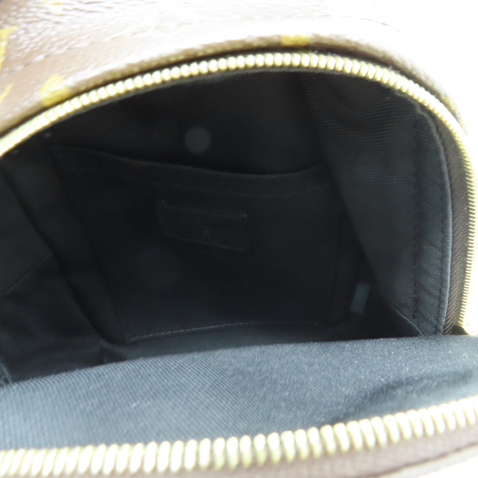 LOUIS VUITTON Monogram Palm Springs Mini金扣背包啡色