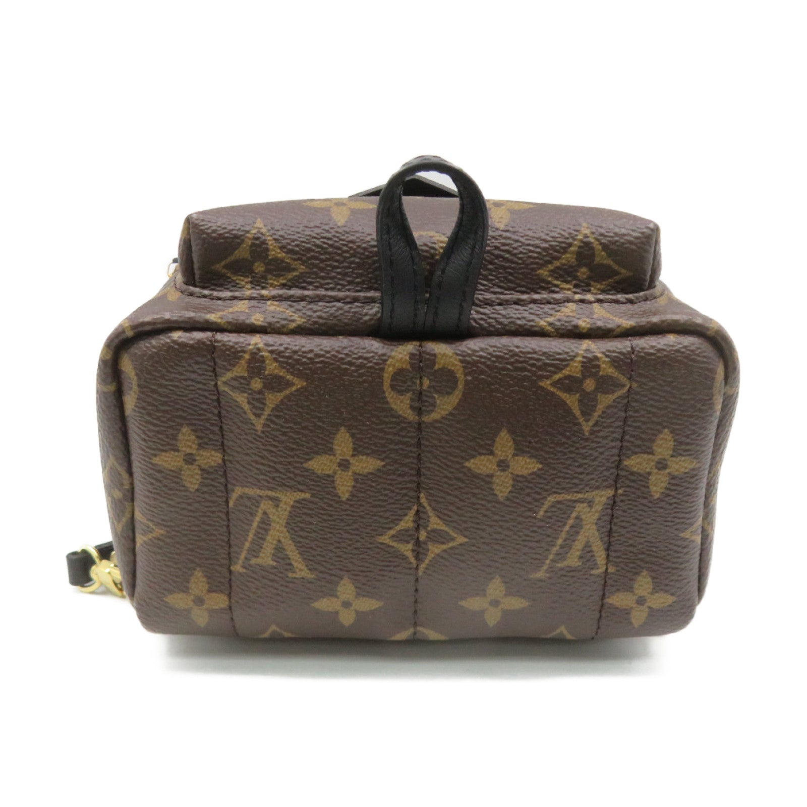 LOUIS VUITTON Monogram Palm Springs Mini Backpack背包啡色