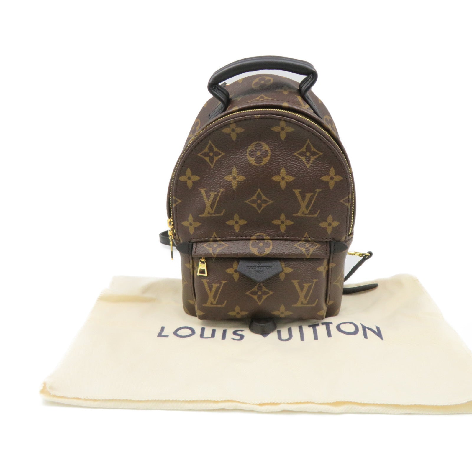 LOUIS VUITTON Monogram Palm Springs Mini Backpack背包啡色
