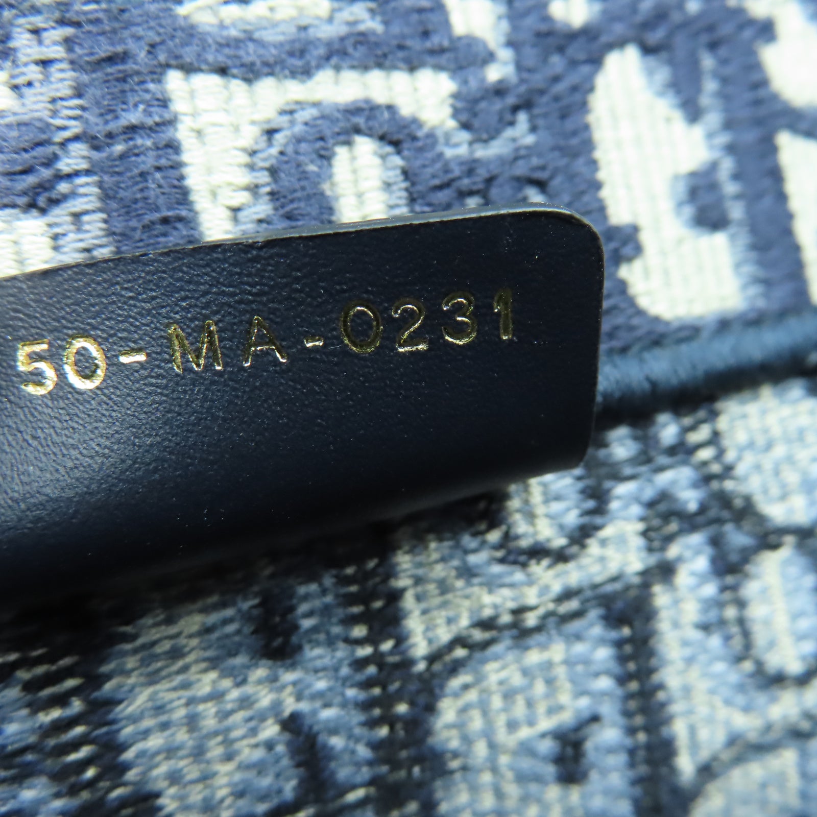 Dior 帆布Book Tote Bag手挽袋藍色