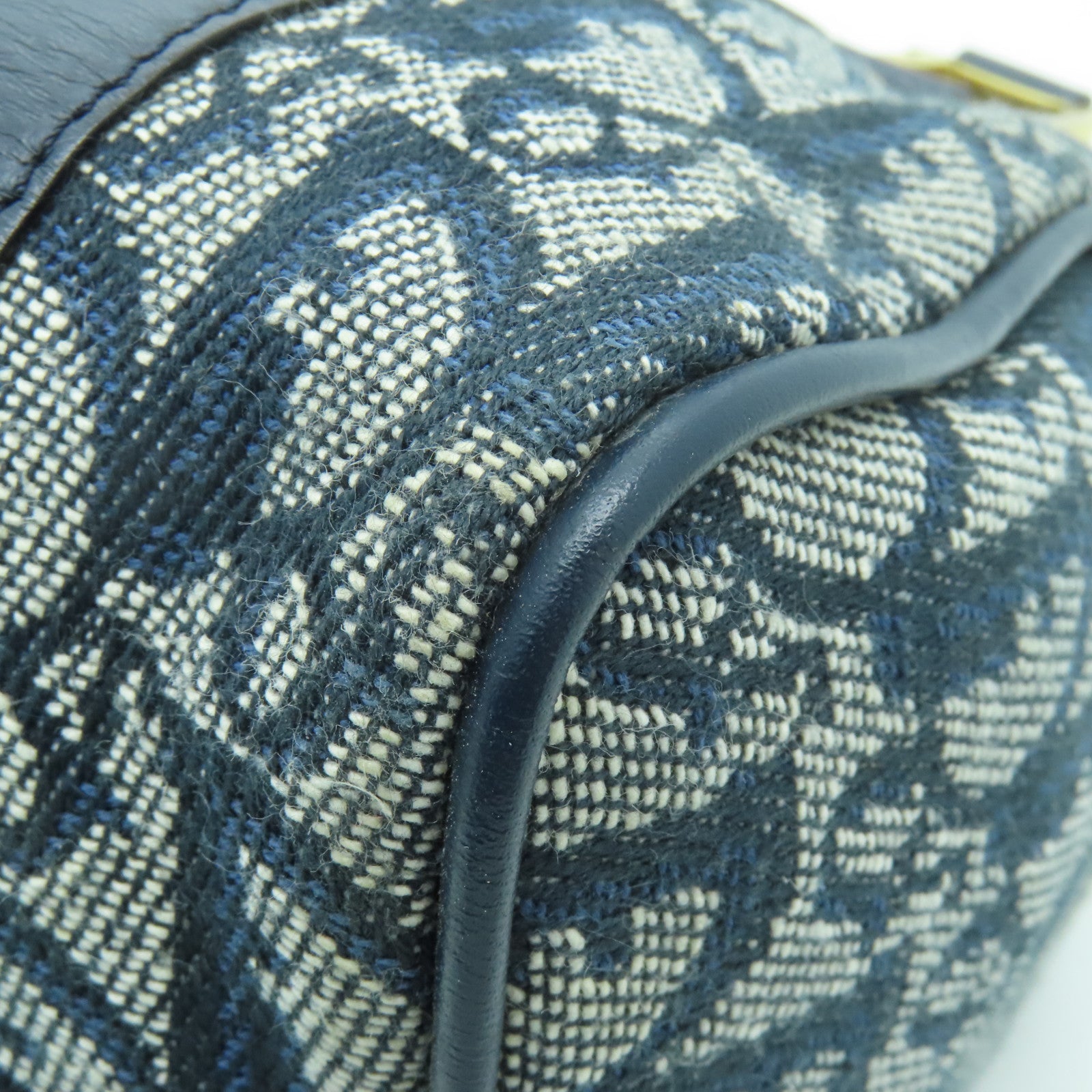 Dior 帆布Hand Bag金扣手挽袋藍色