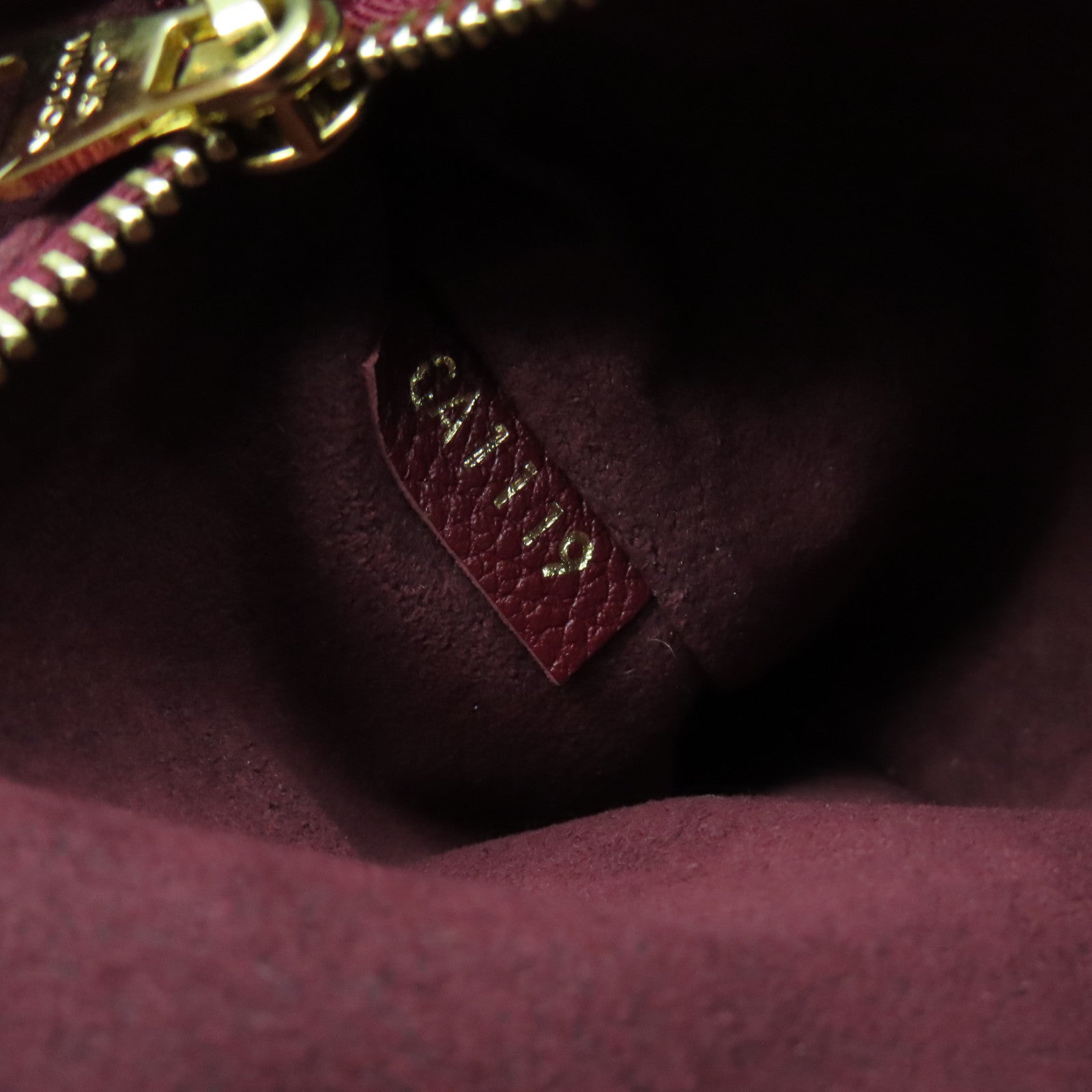 LOUIS VUITTON Monogram Saint Placide Gold Buckle Chain Shoulder Bag Brown/Red